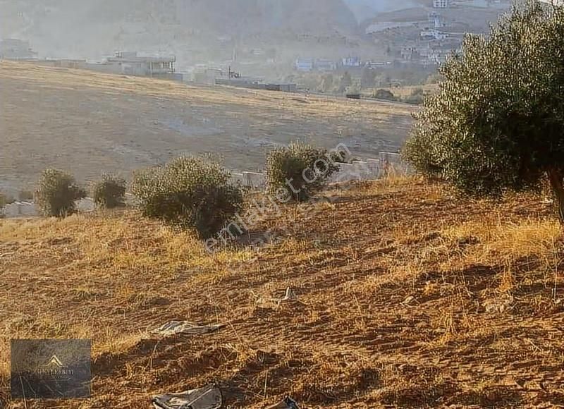 Özbeylerbeyi Gyo'dan Bilek'te Bağ Evlik Uygun Arazi - Görsel 12