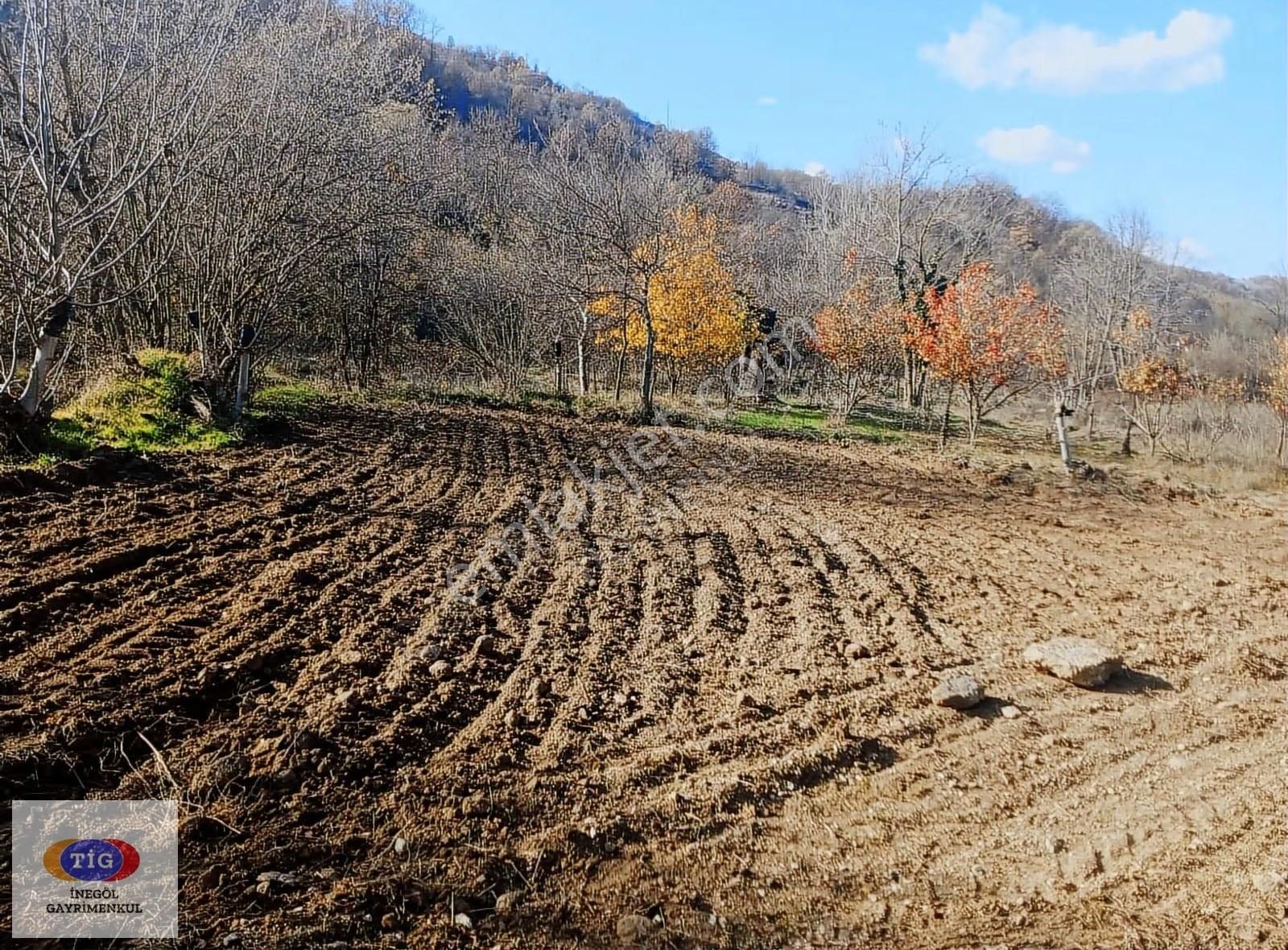 Tig'den Yeniköy'de Satılık Tarla - Görsel 4