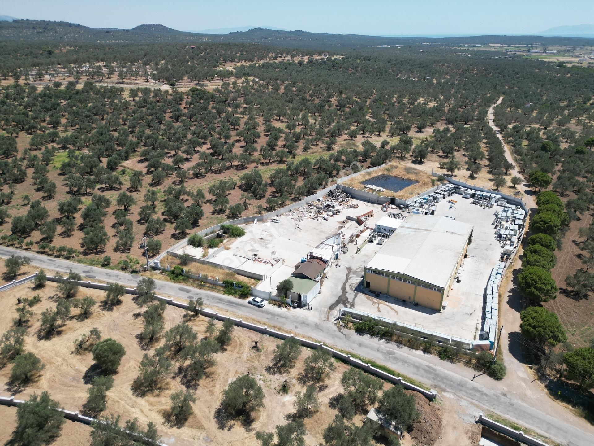 Ayvalık Mutluköy Yolu Üzerinde Satılık Zeytin İşleme Tesisi - Görsel 31