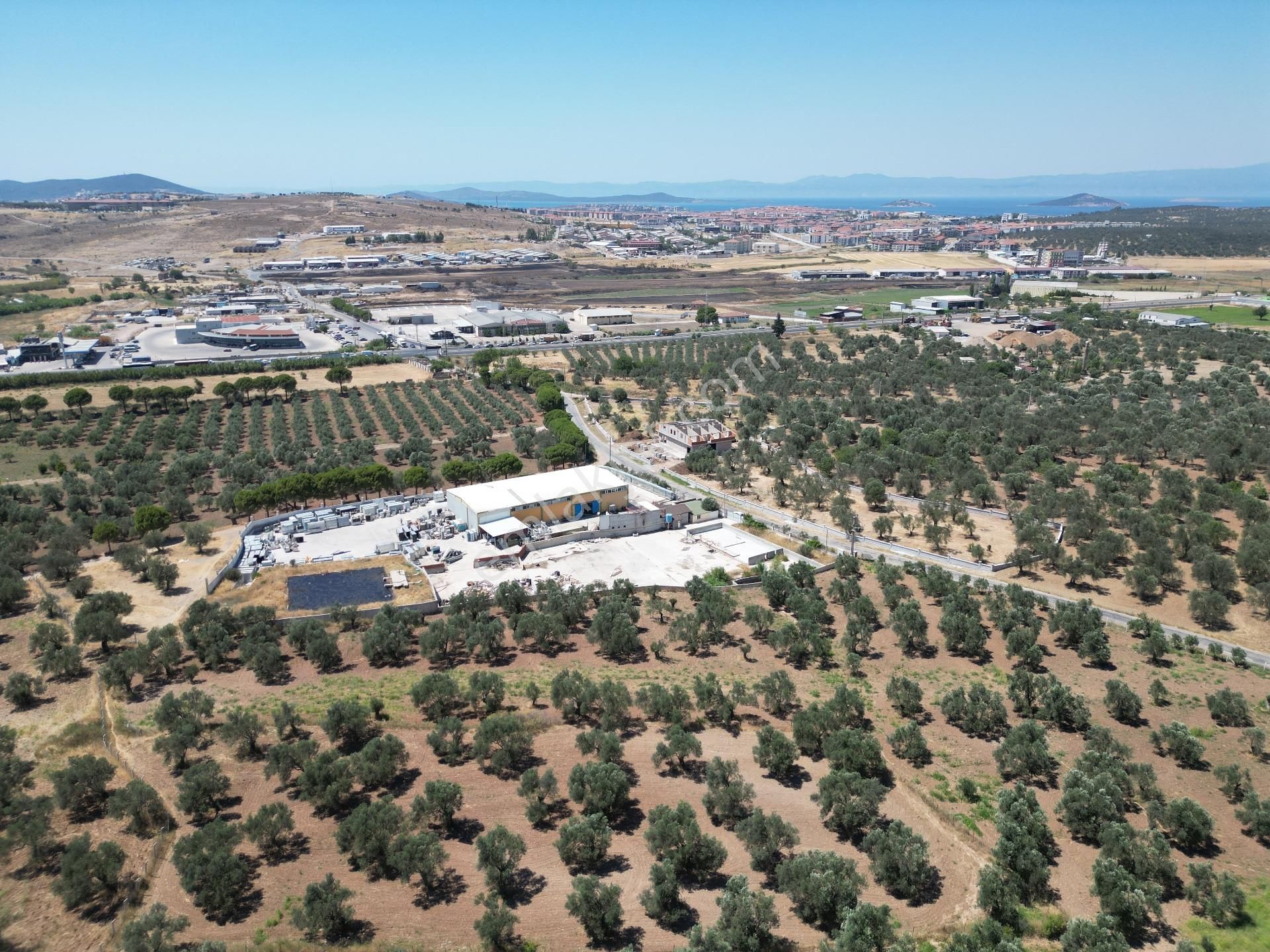 Ayvalık Mutluköy Yolu Üzerinde Satılık Zeytin İşleme Tesisi - Görsel 17