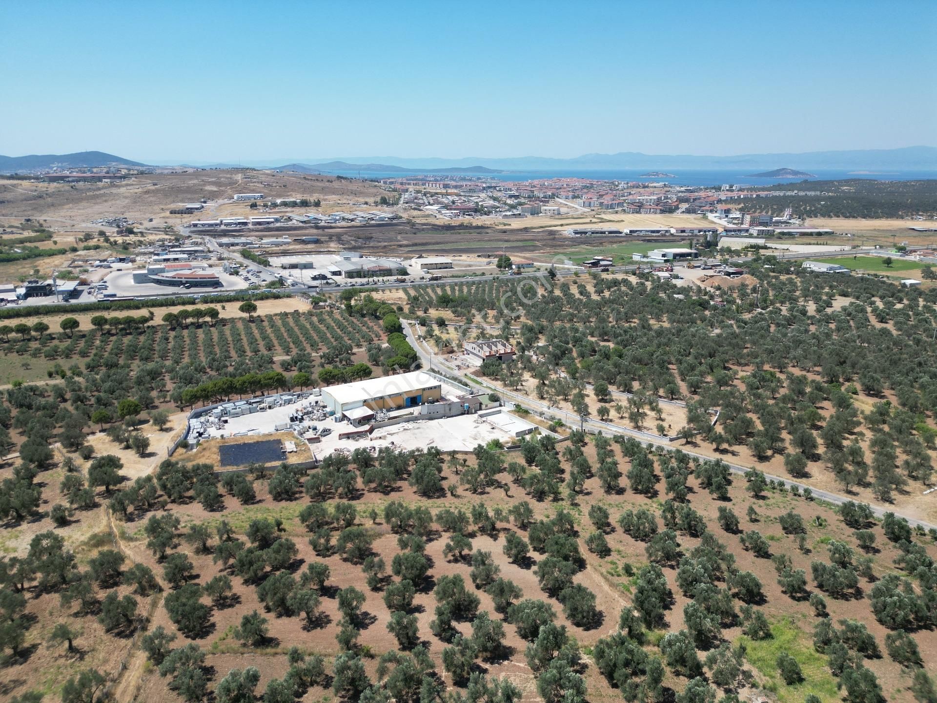 Ayvalık Mutluköy Yolu Üzerinde Satılık Zeytin İşleme Tesisi - Görsel 16