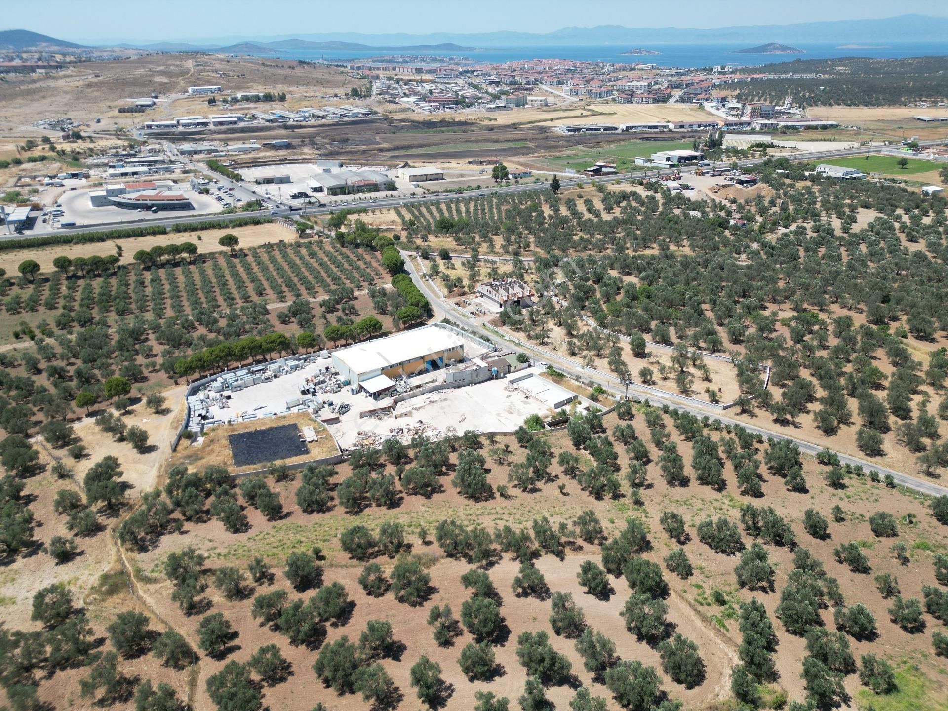 Ayvalık Mutluköy Yolu Üzerinde Satılık Zeytin İşleme Tesisi - Görsel 3