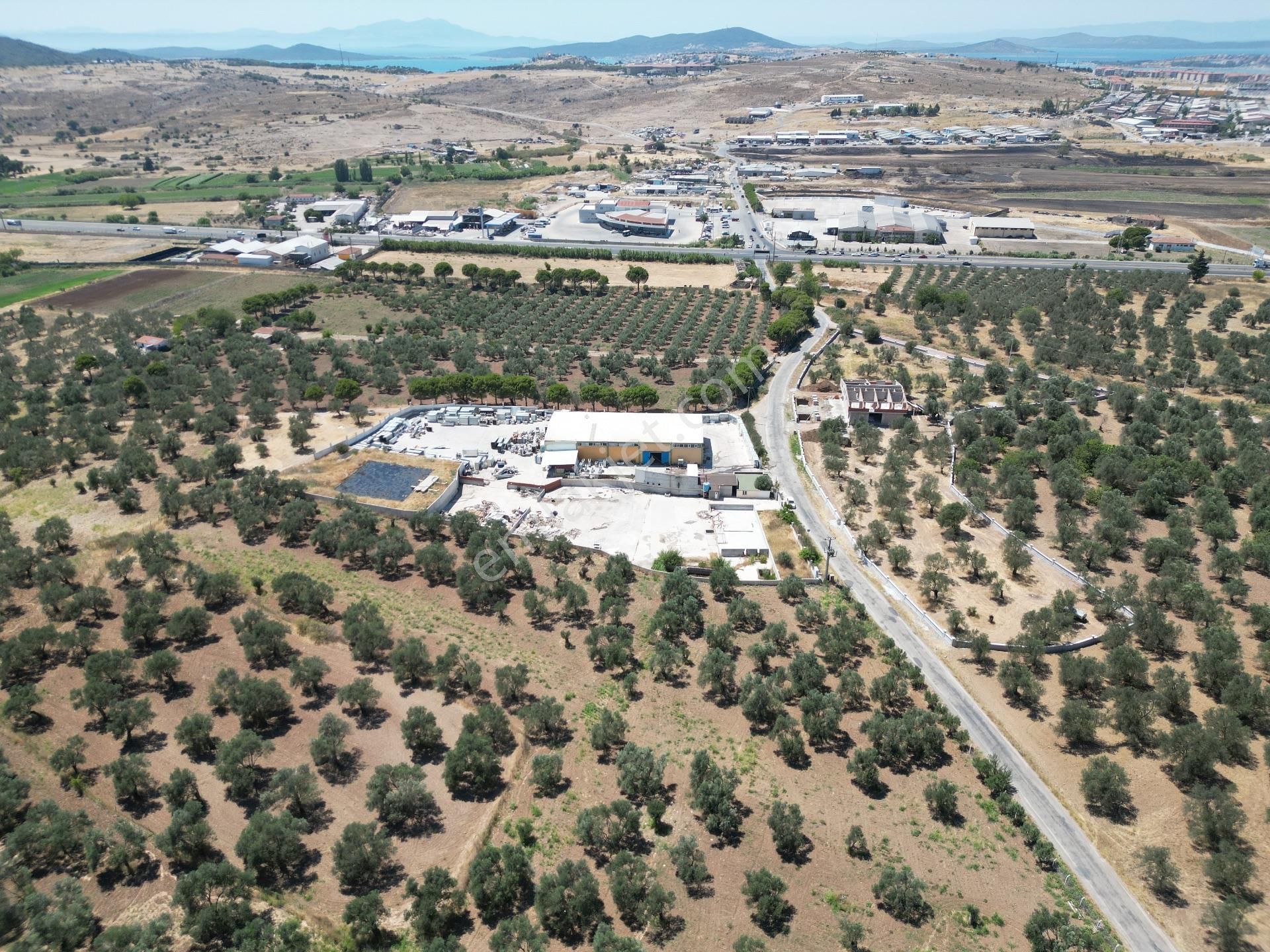 Ayvalık Mutluköy Yolu Üzerinde Satılık Zeytin İşleme Tesisi - Görsel 6