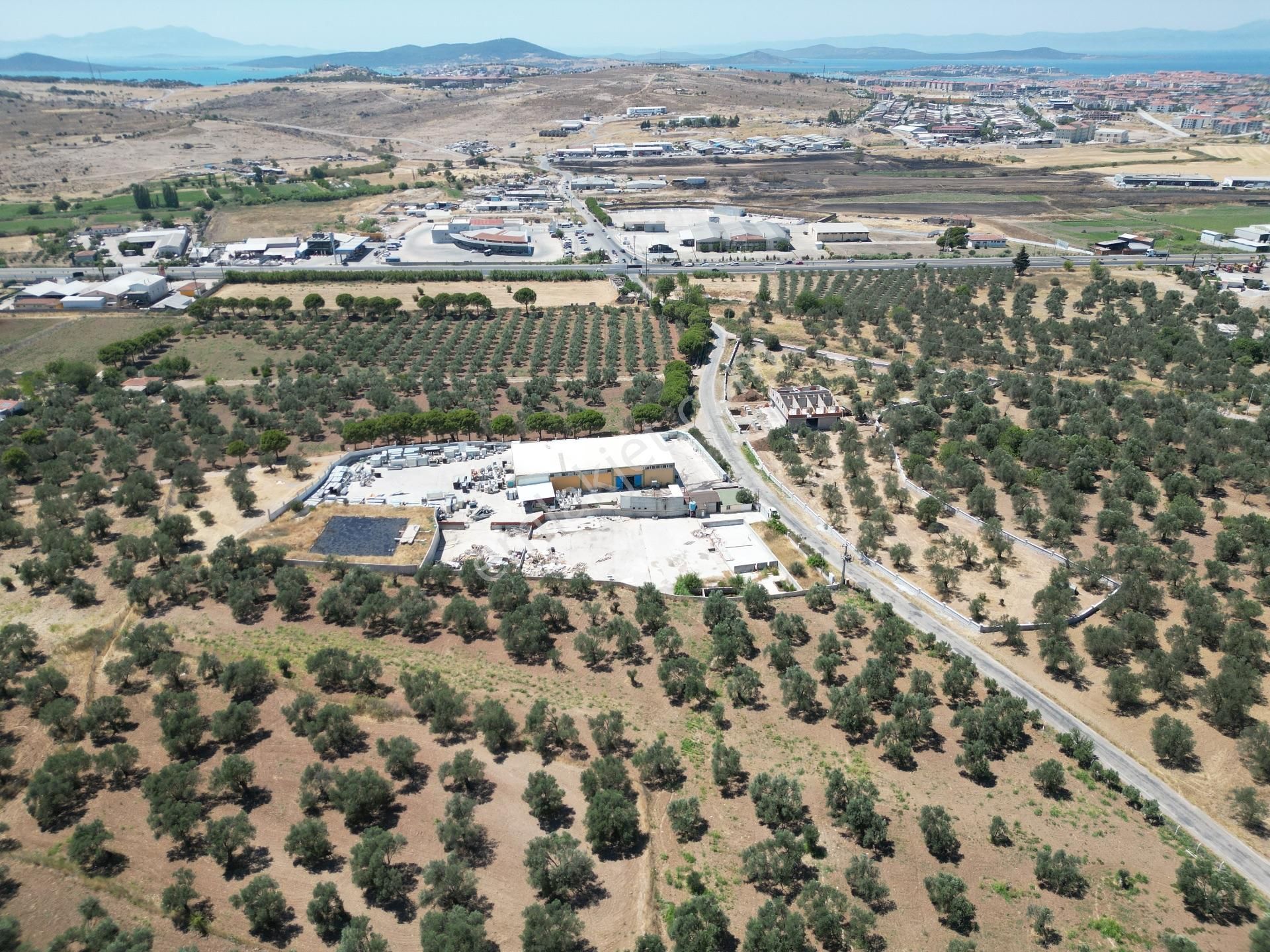 Ayvalık Mutluköy Yolu Üzerinde Satılık Zeytin İşleme Tesisi - Görsel 5