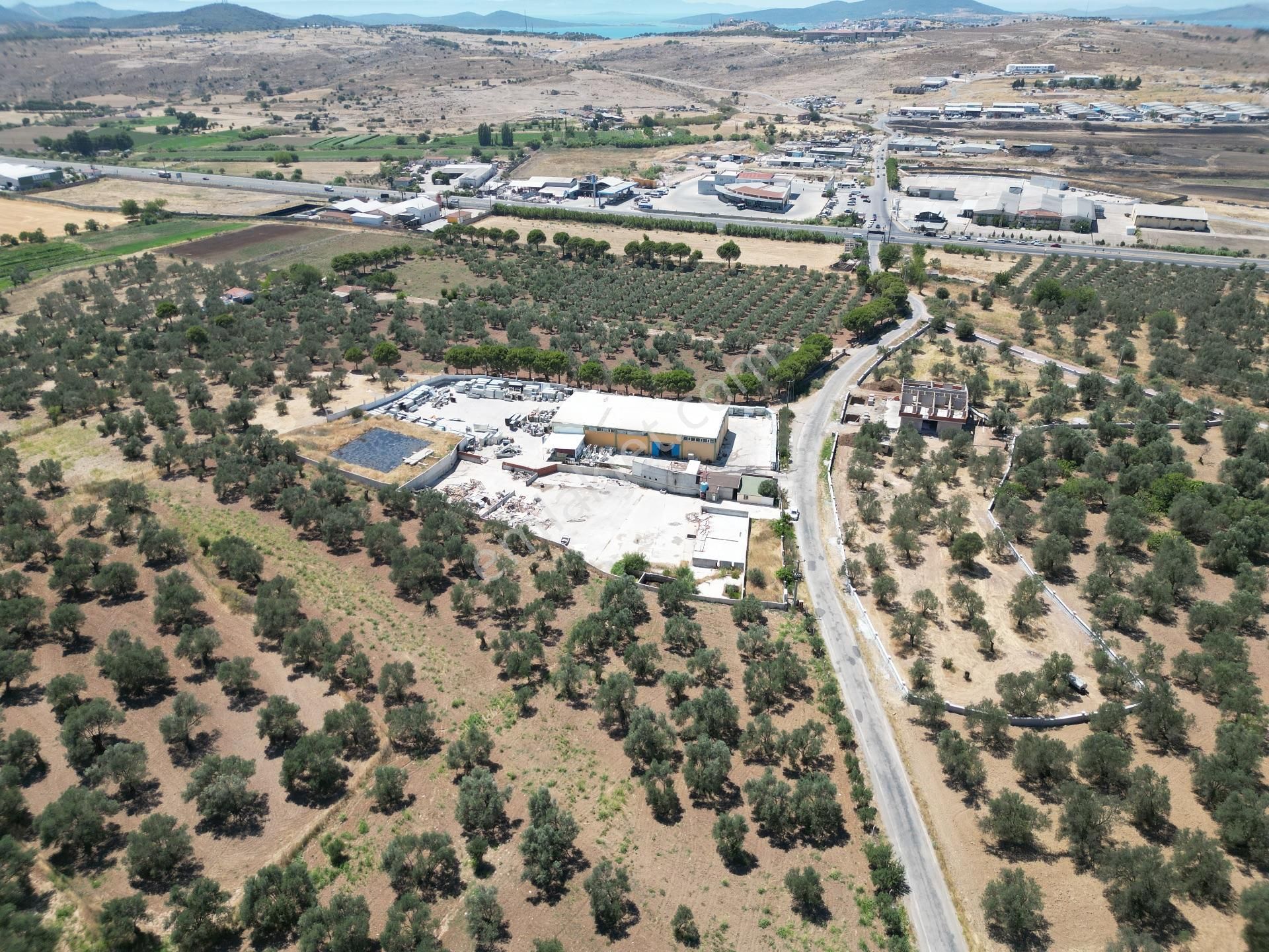 Ayvalık Mutluköy Yolu Üzerinde Satılık Zeytin İşleme Tesisi - Görsel 7