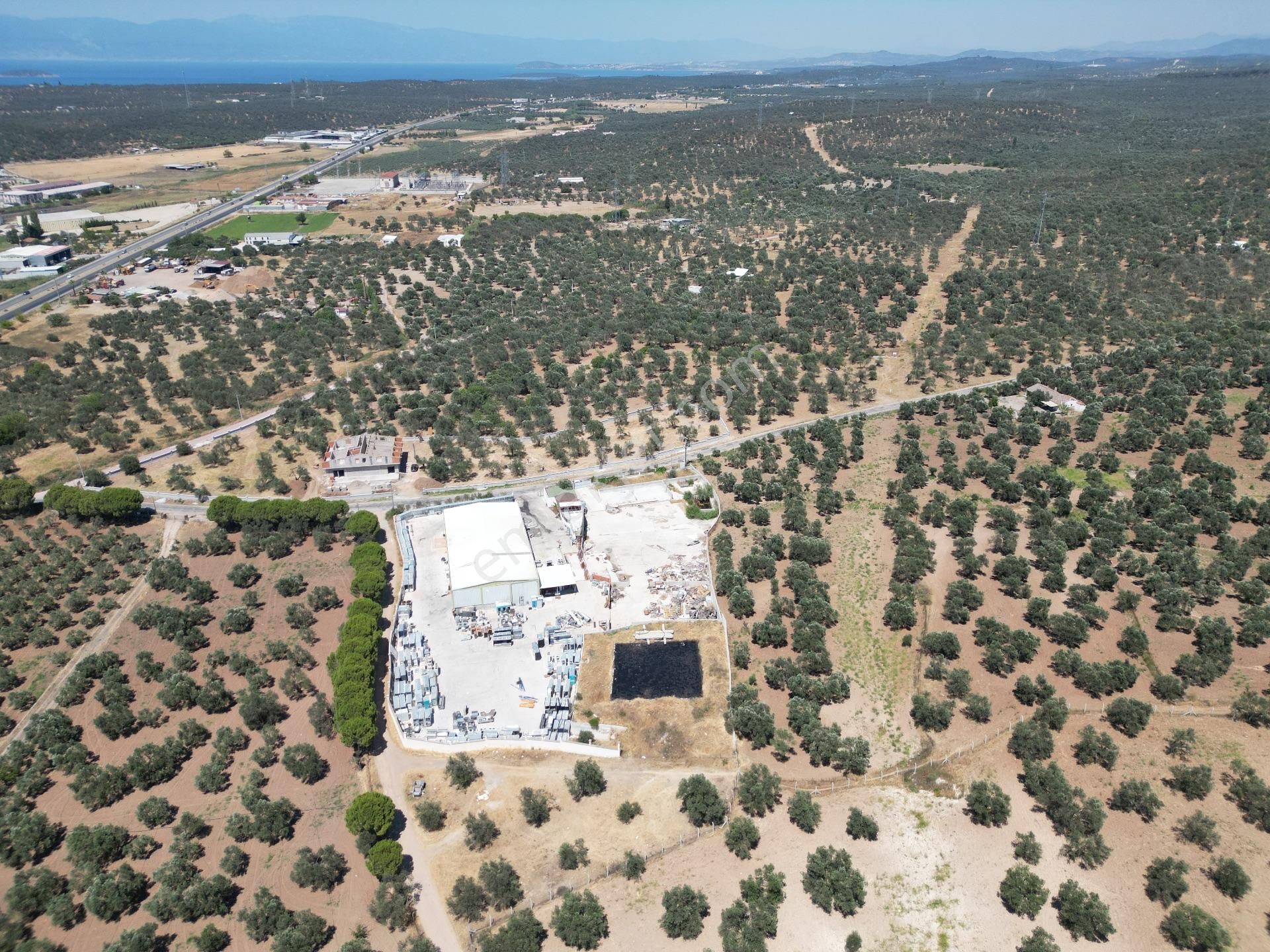 Ayvalık Mutluköy Yolu Üzerinde Satılık Zeytin İşleme Tesisi - Görsel 4
