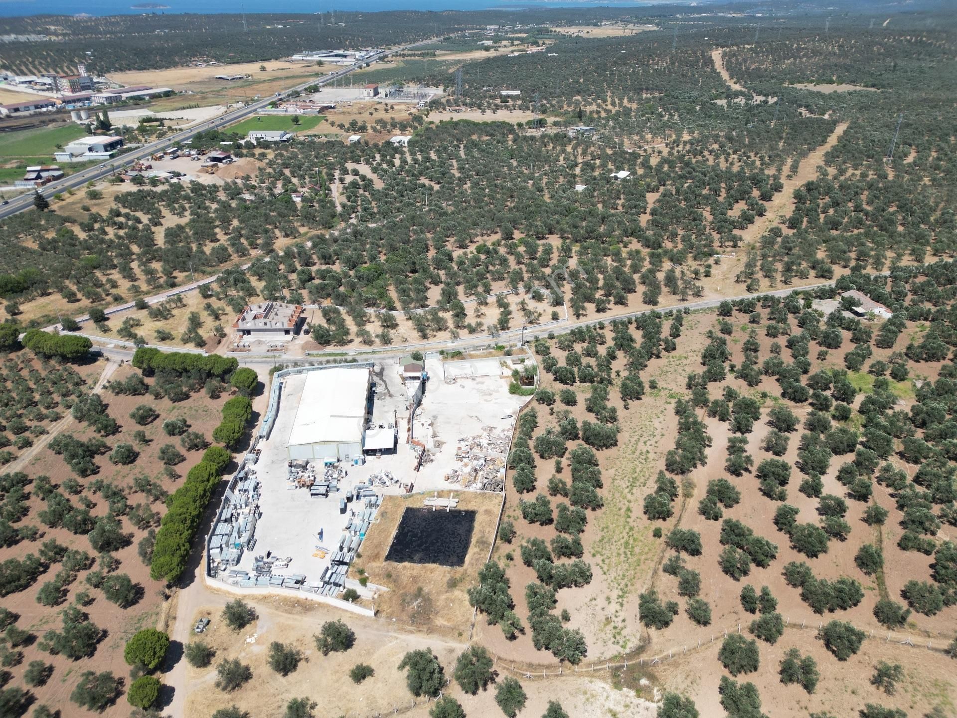 Ayvalık Mutluköy Yolu Üzerinde Satılık Zeytin İşleme Tesisi - Görsel 23