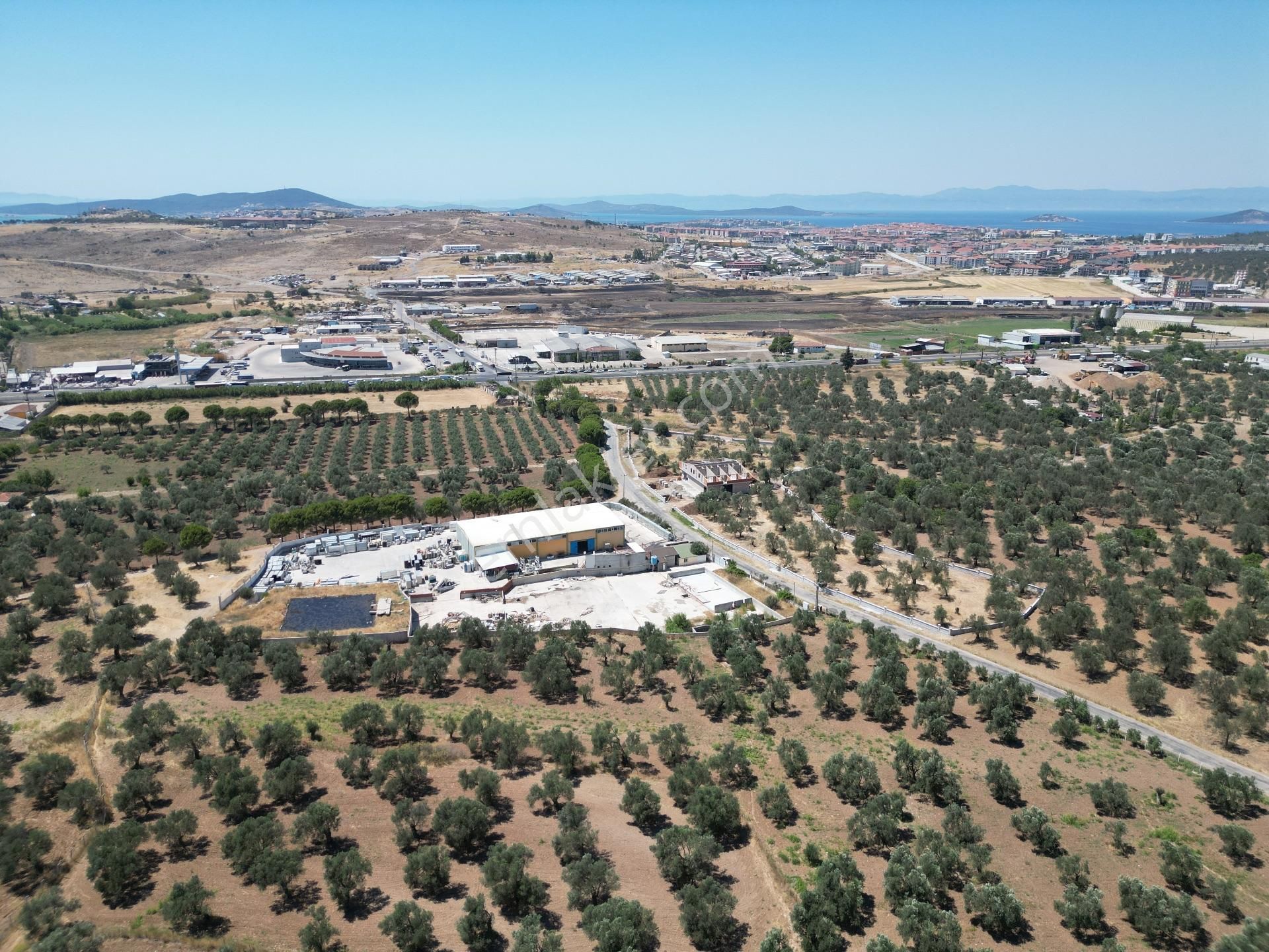 Ayvalık Mutluköy Yolu Üzerinde Satılık Zeytin İşleme Tesisi - Görsel 14