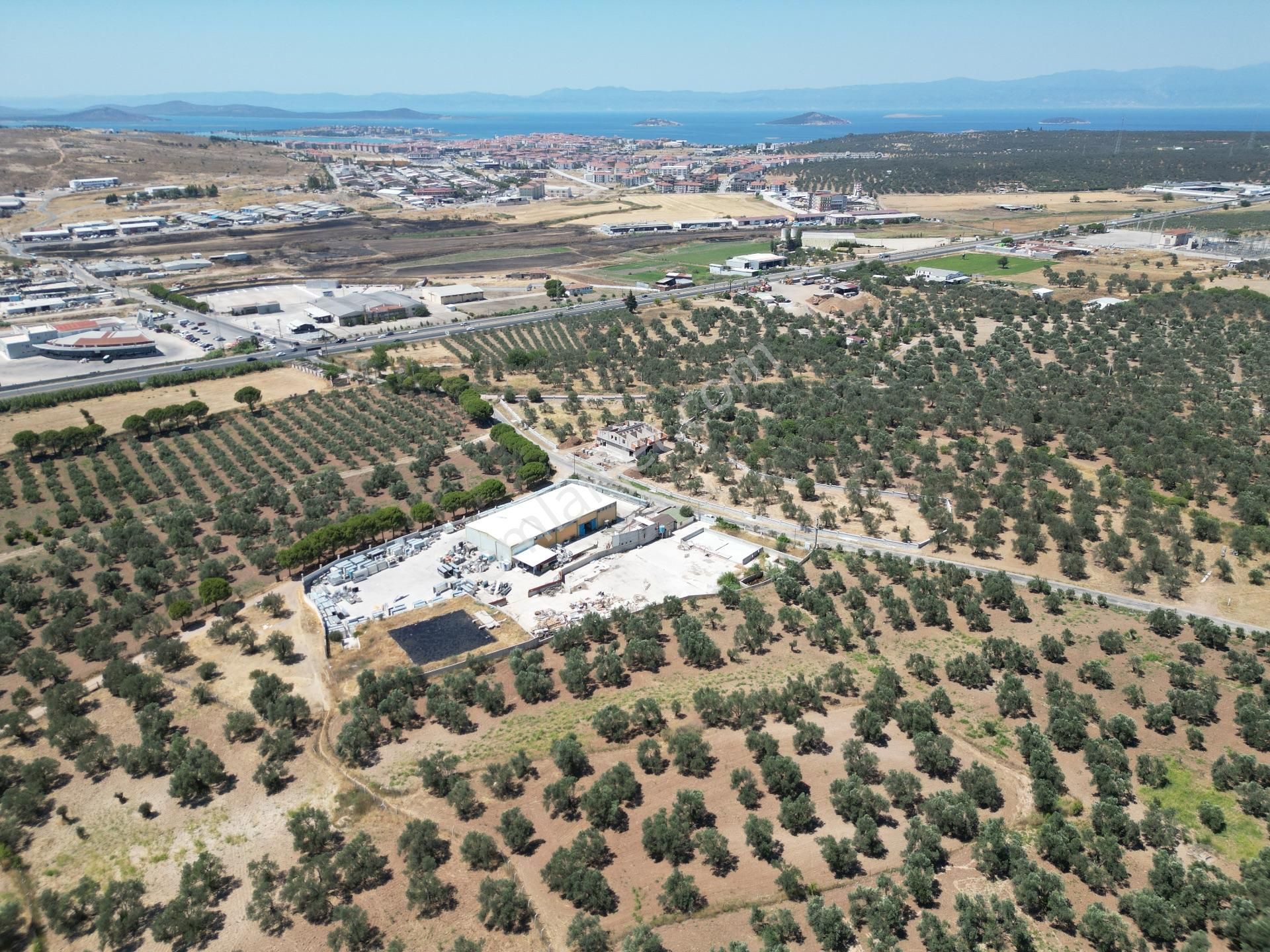 Ayvalık Mutluköy Yolu Üzerinde Satılık Zeytin İşleme Tesisi - Görsel 12