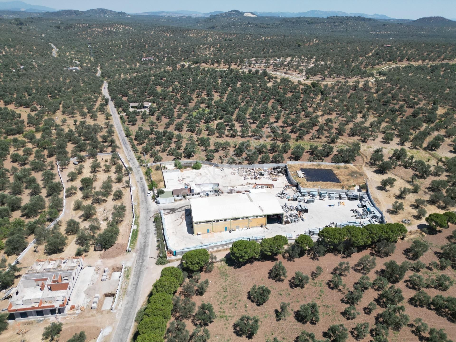 Ayvalık Mutluköy Yolu Üzerinde Satılık Zeytin İşleme Tesisi - Görsel 32