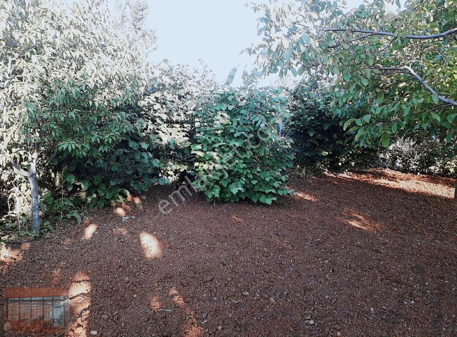 Bursa Kestel Ümitalan 'da Ev Ve Bahçe