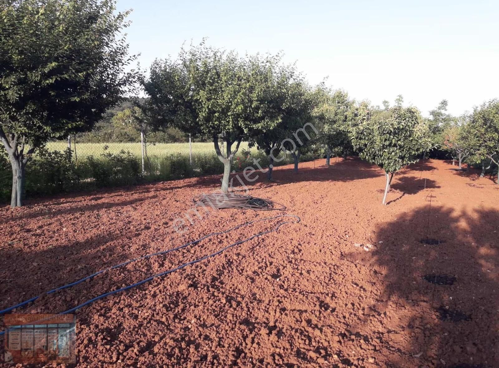 Bursa Kestel Ümitalan 'da Ev Ve Bahçe - Görsel 3