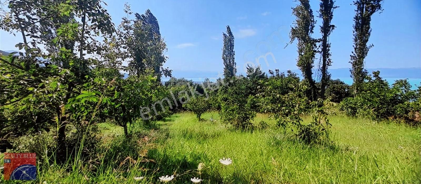 Bursa Orhangazi Heceler'de Satılık Müstakil Tapulu 619 M2 Tarla - Görsel 3