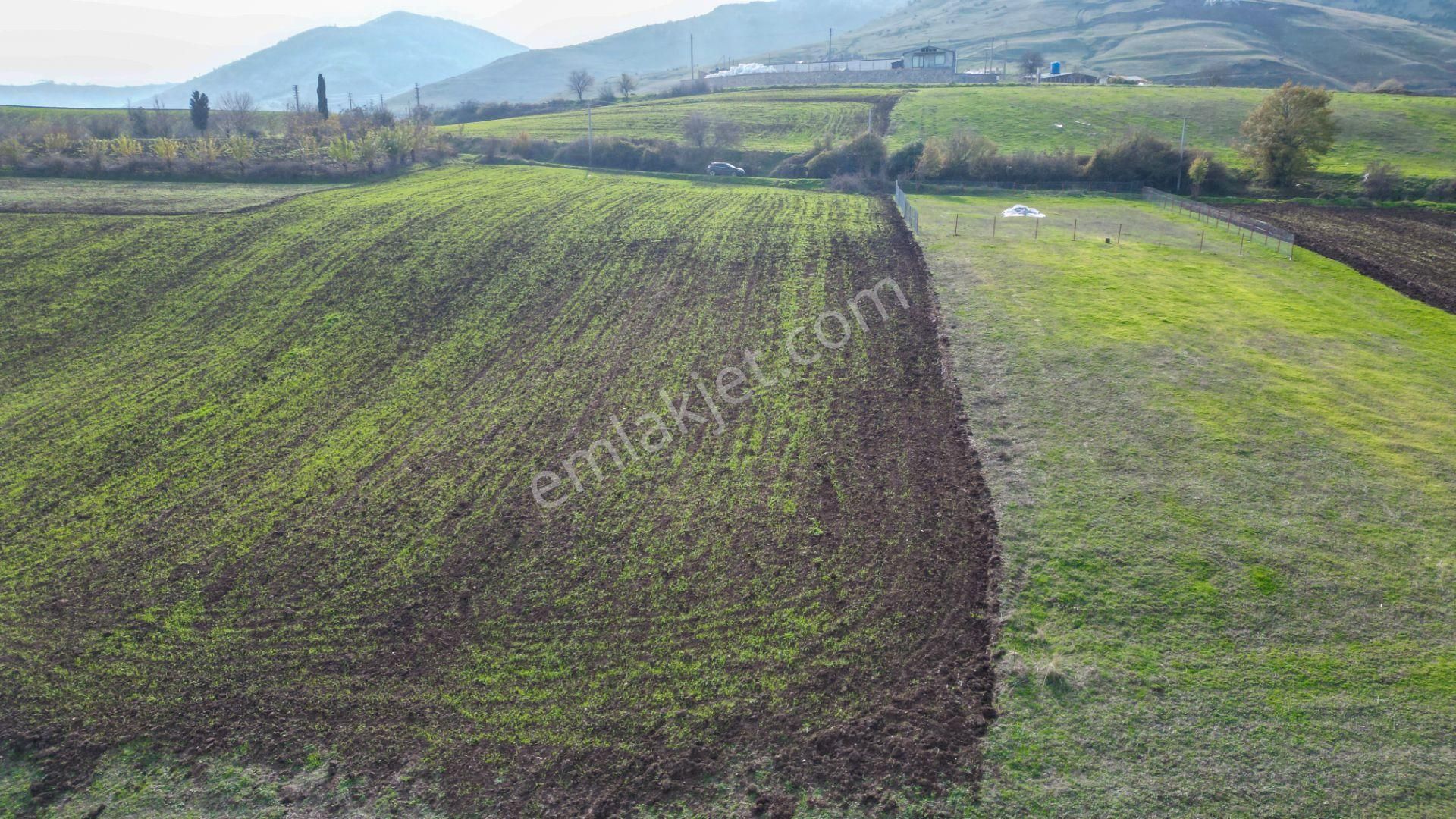 Uzmanlar’dan Karamürsel Kızderbent 1247 M² %5 İmarlı Satılık Tarla - Görsel 5