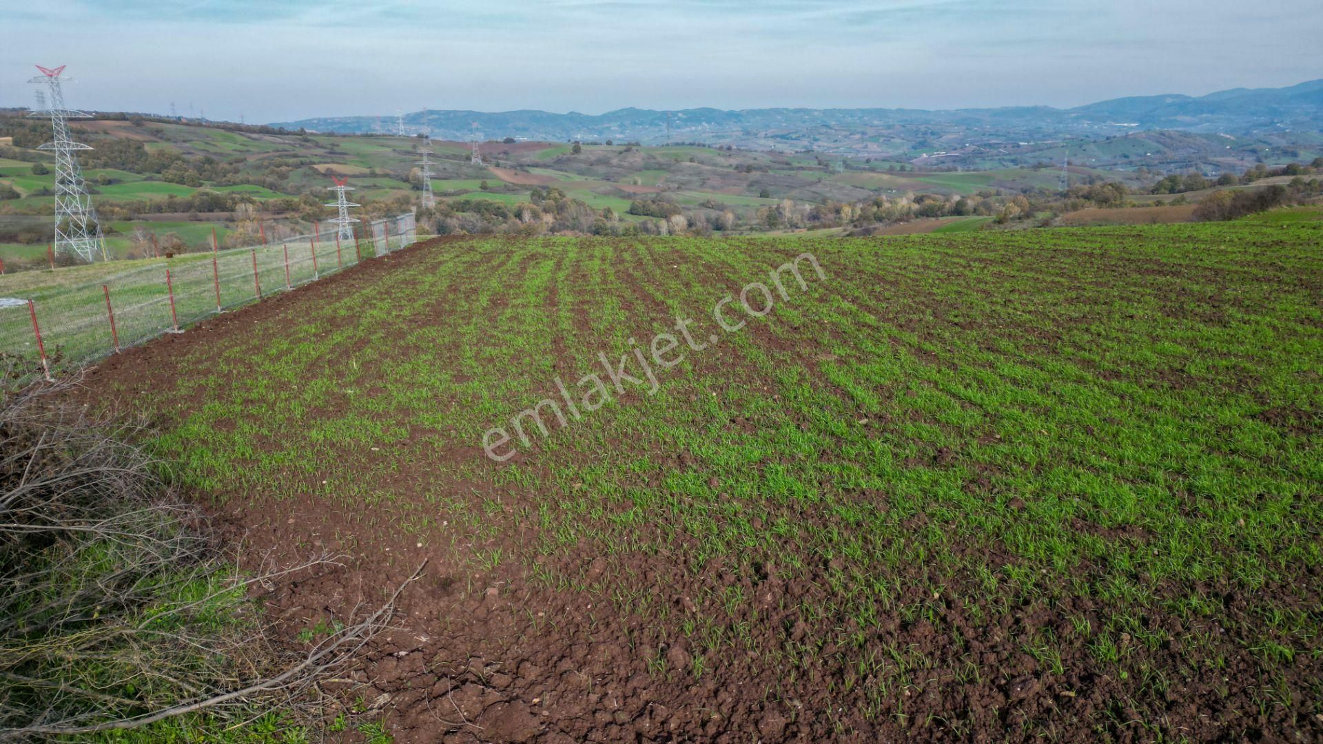 Uzmanlar’dan Karamürsel Kızderbent 1247 M² %5 İmarlı Satılık Tarla - Görsel 6
