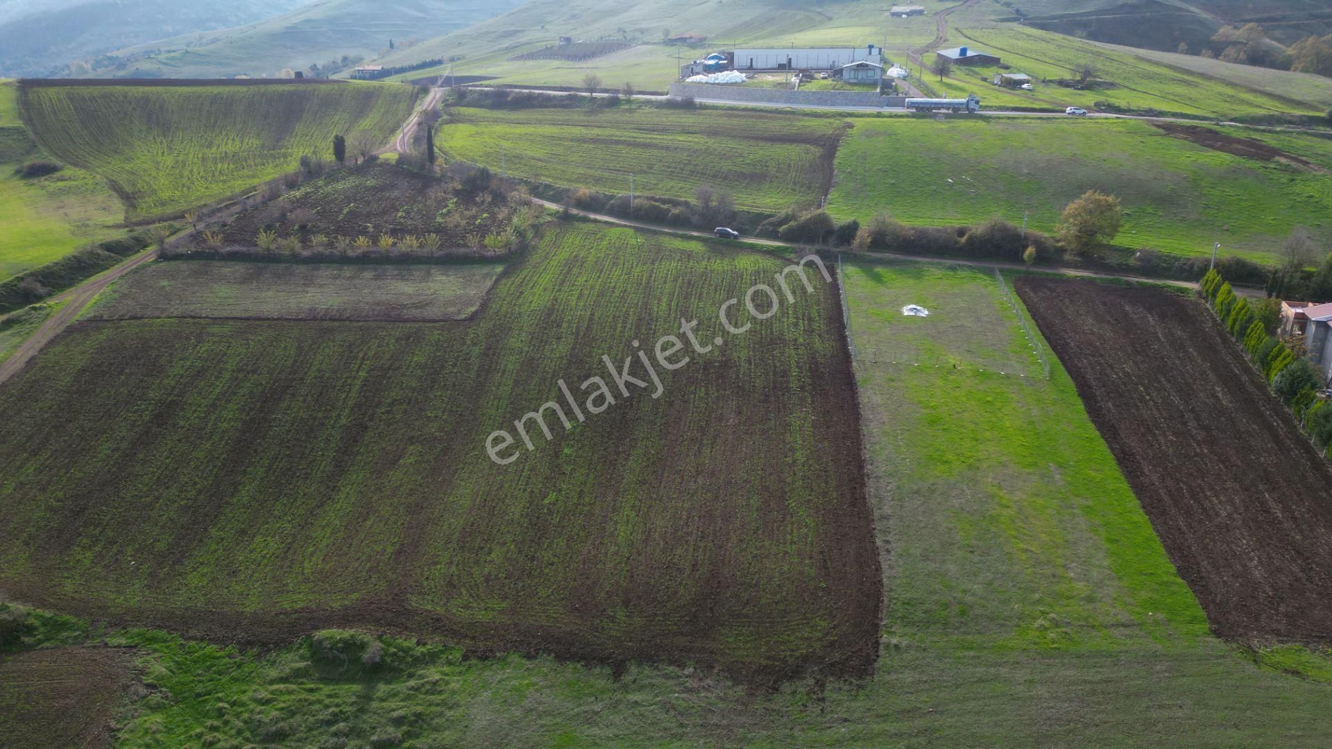 Uzmanlar’dan Karamürsel Kızderbent 1247 M² %5 İmarlı Satılık Tarla - Görsel 4