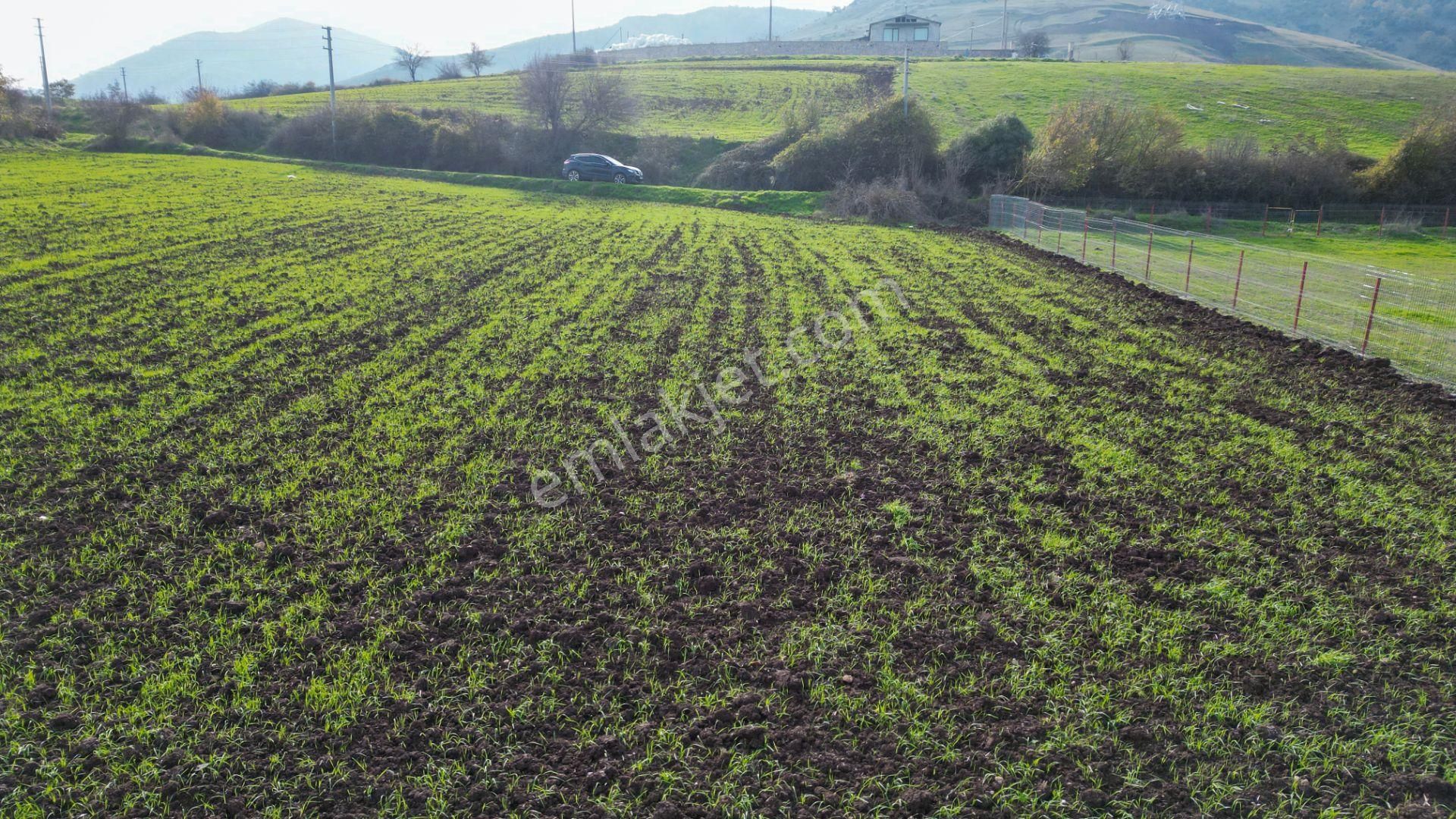 Uzmanlar’dan Karamürsel Kızderbent 1247 M² %5 İmarlı Satılık Tarla - Görsel 8