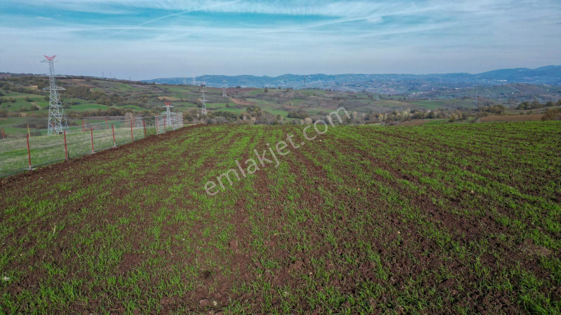 Uzmanlar’dan Karamürsel Kızderbent 1247 M² %5 İmarlı Satılık Tarla - Görsel 7