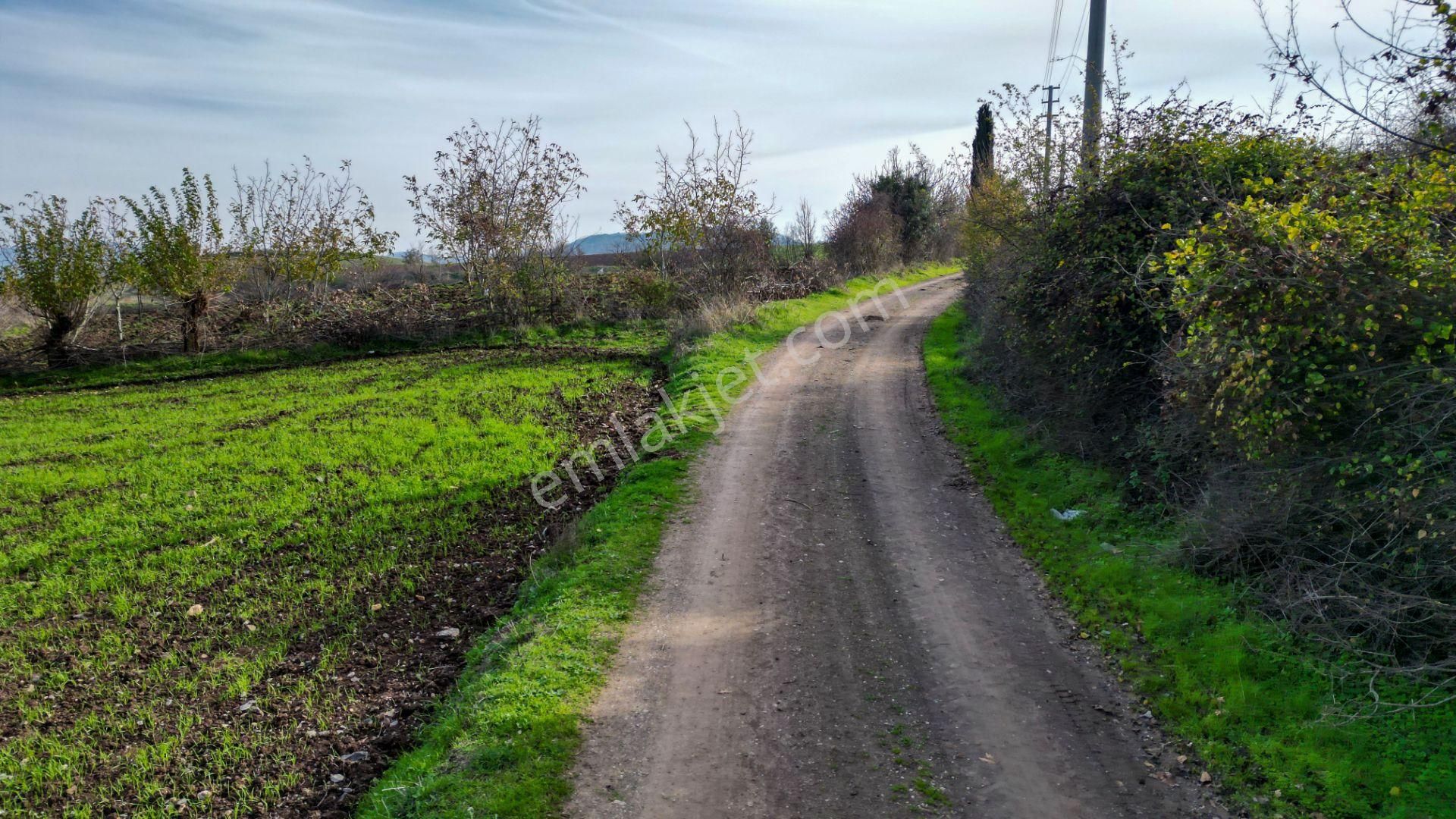 Uzmanlar’dan Karamürsel Kızderbent 1247 M² %5 İmarlı Satılık Tarla - Görsel 12