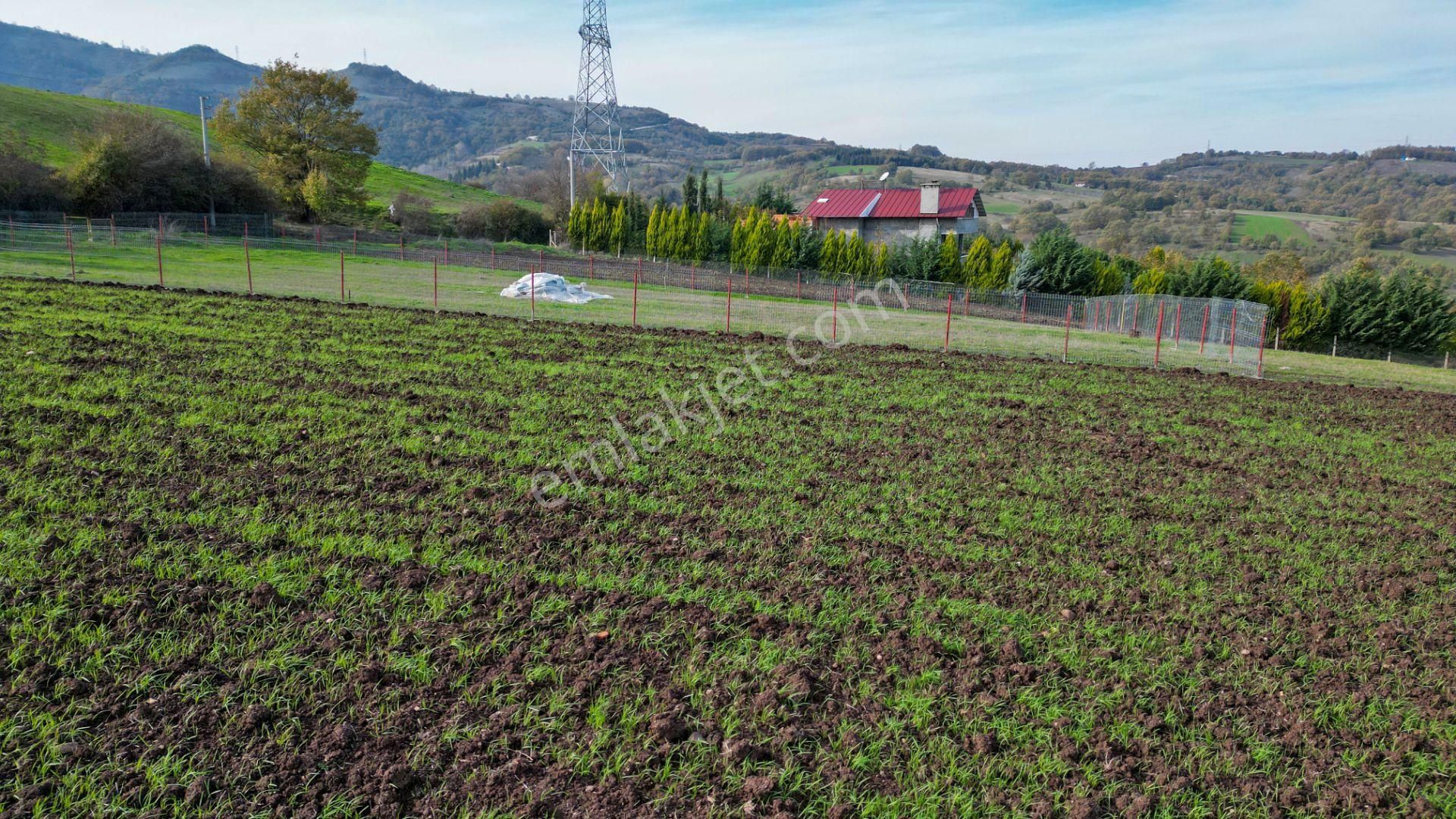 Uzmanlar’dan Karamürsel Kızderbent 1247 M² %5 İmarlı Satılık Tarla - Görsel 2