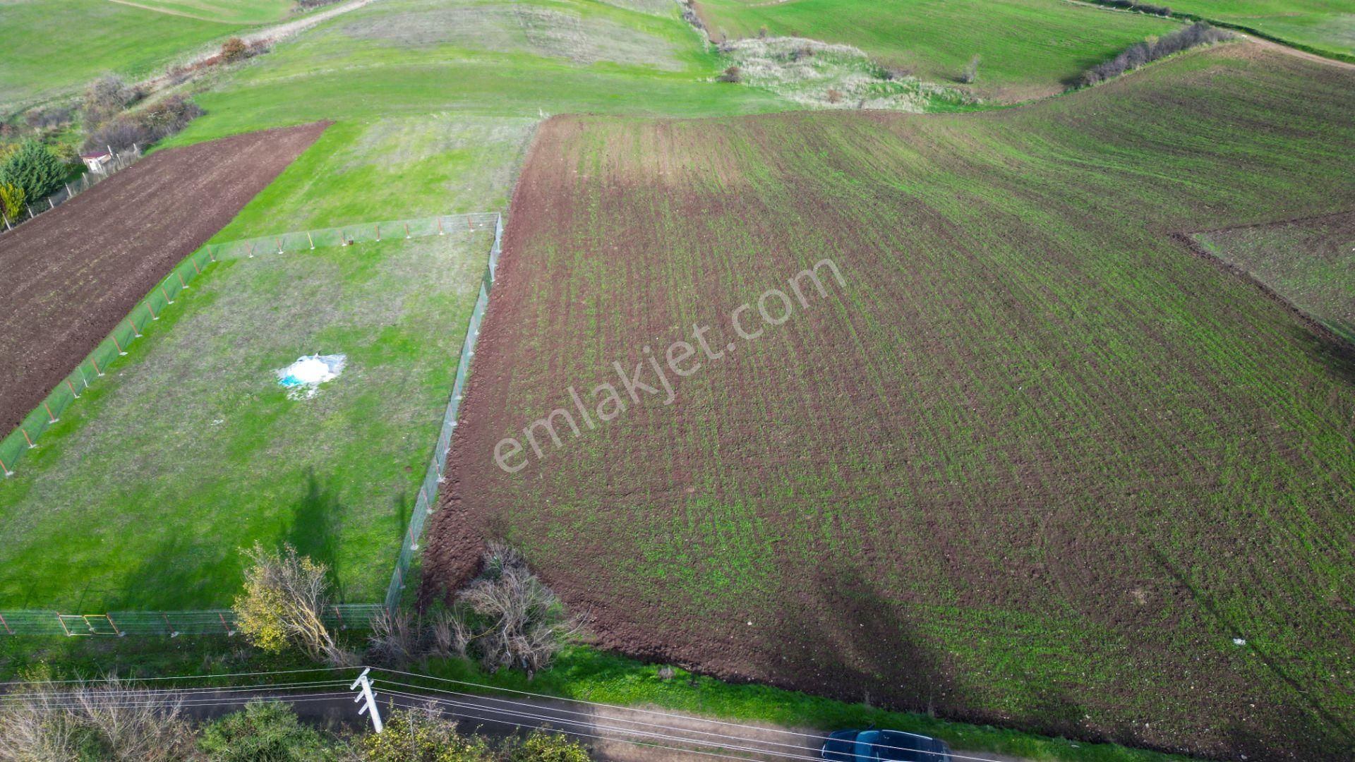 Uzmanlar’dan Karamürsel Kızderbent 1247 M² %5 İmarlı Satılık Tarla - Görsel 3