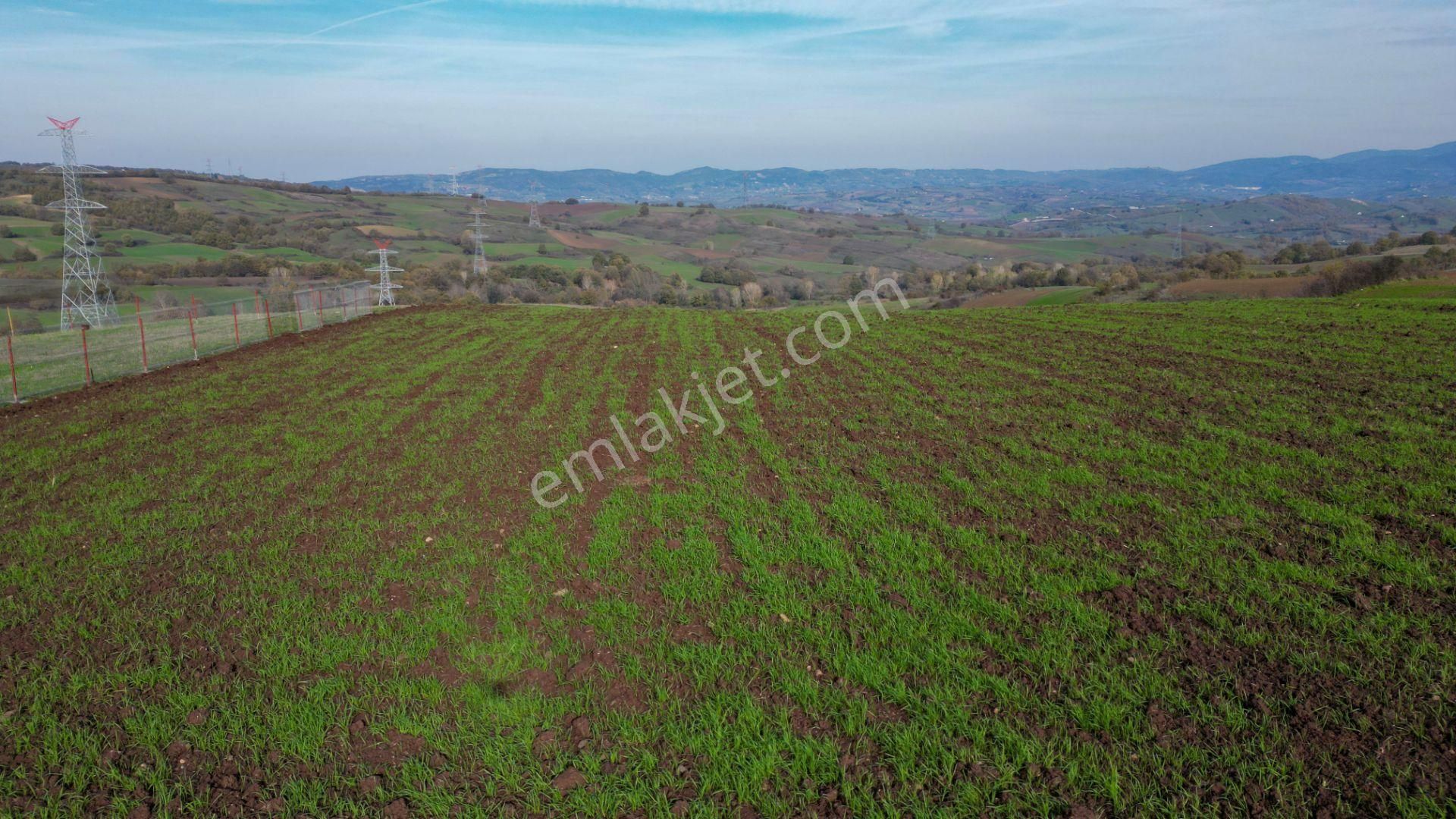 Uzmanlar’dan Karamürsel Kızderbent 1247 M² %5 İmarlı Satılık Tarla - Görsel 10