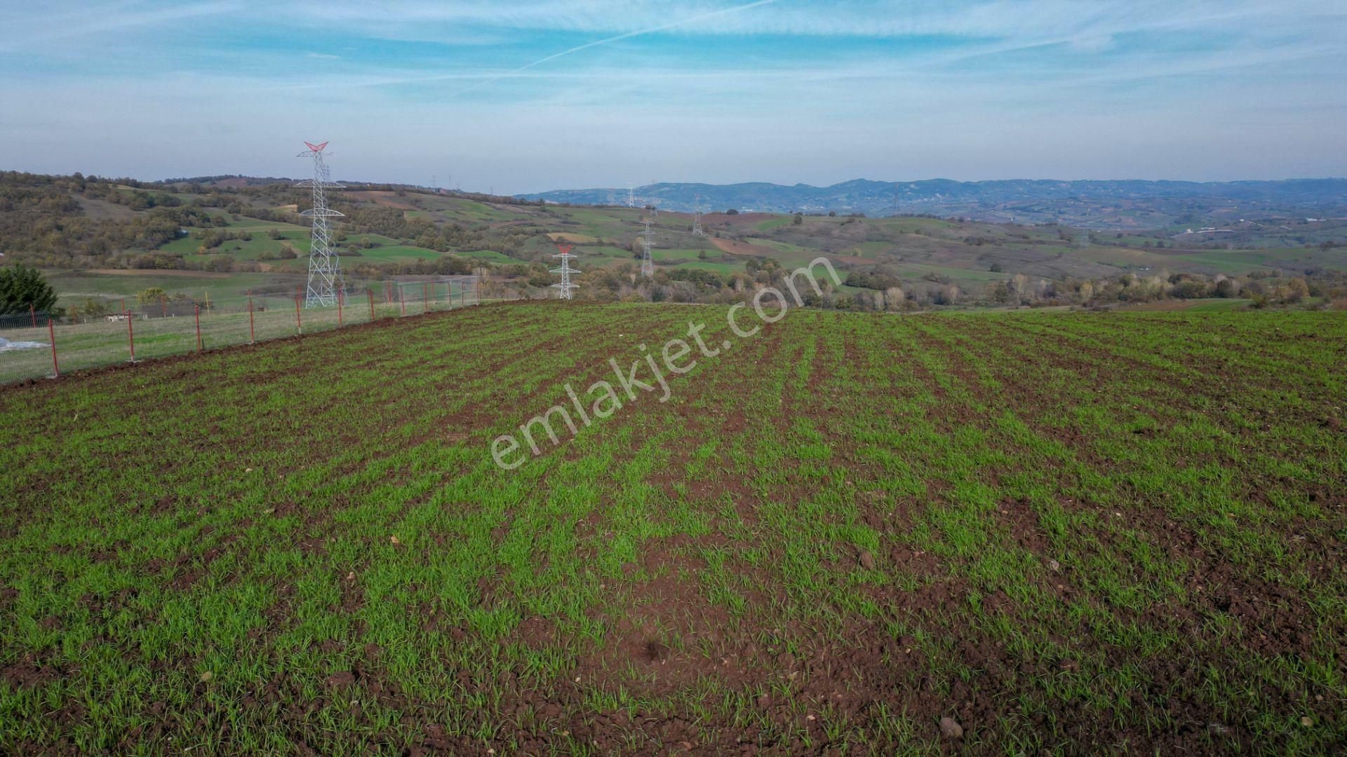 Uzmanlar’dan Karamürsel Kızderbent 1247 M² %5 İmarlı Satılık Tarla - Görsel 9