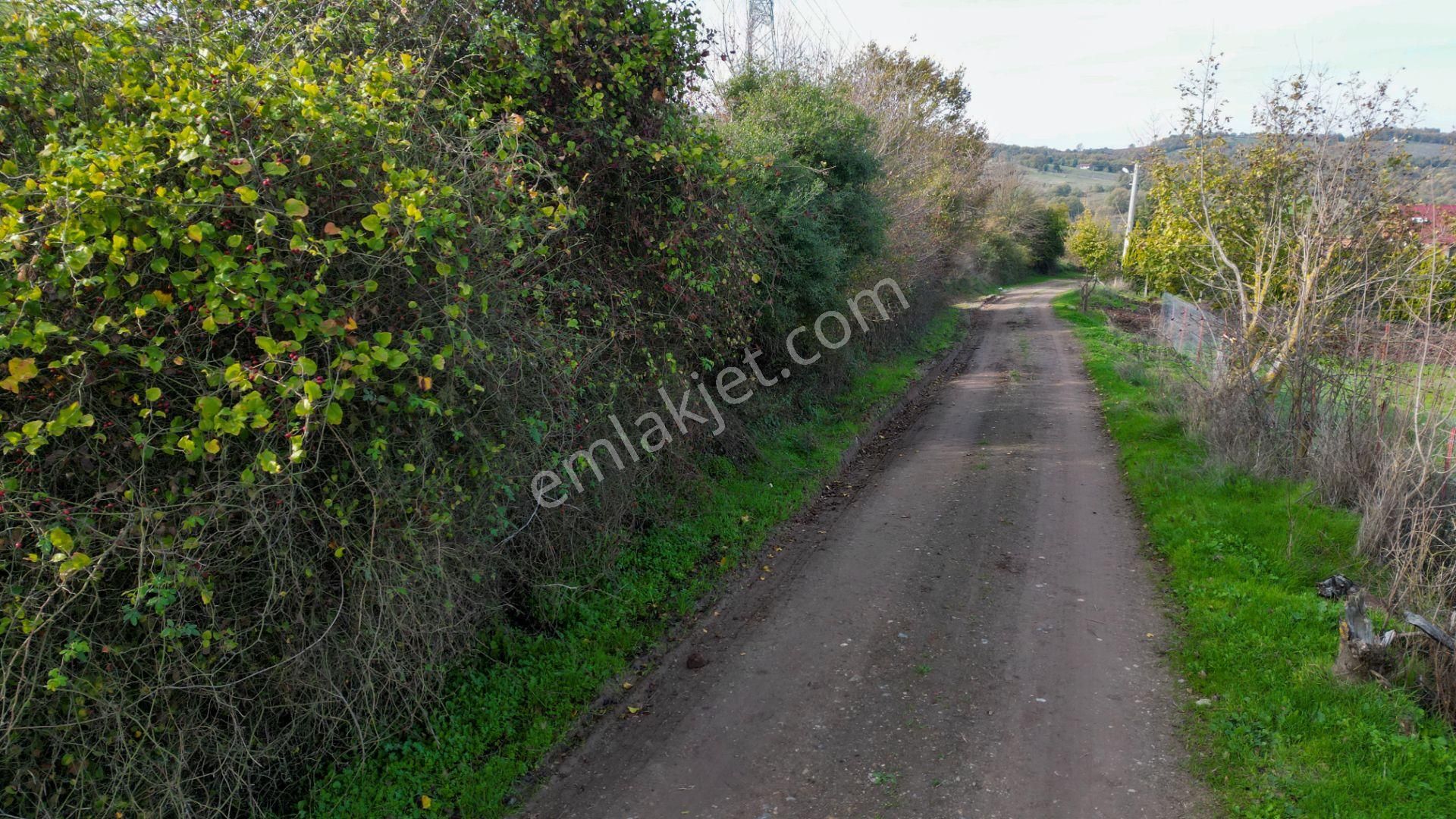 Uzmanlar’dan Karamürsel Kızderbent 1247 M² %5 İmarlı Satılık Tarla - Görsel 11