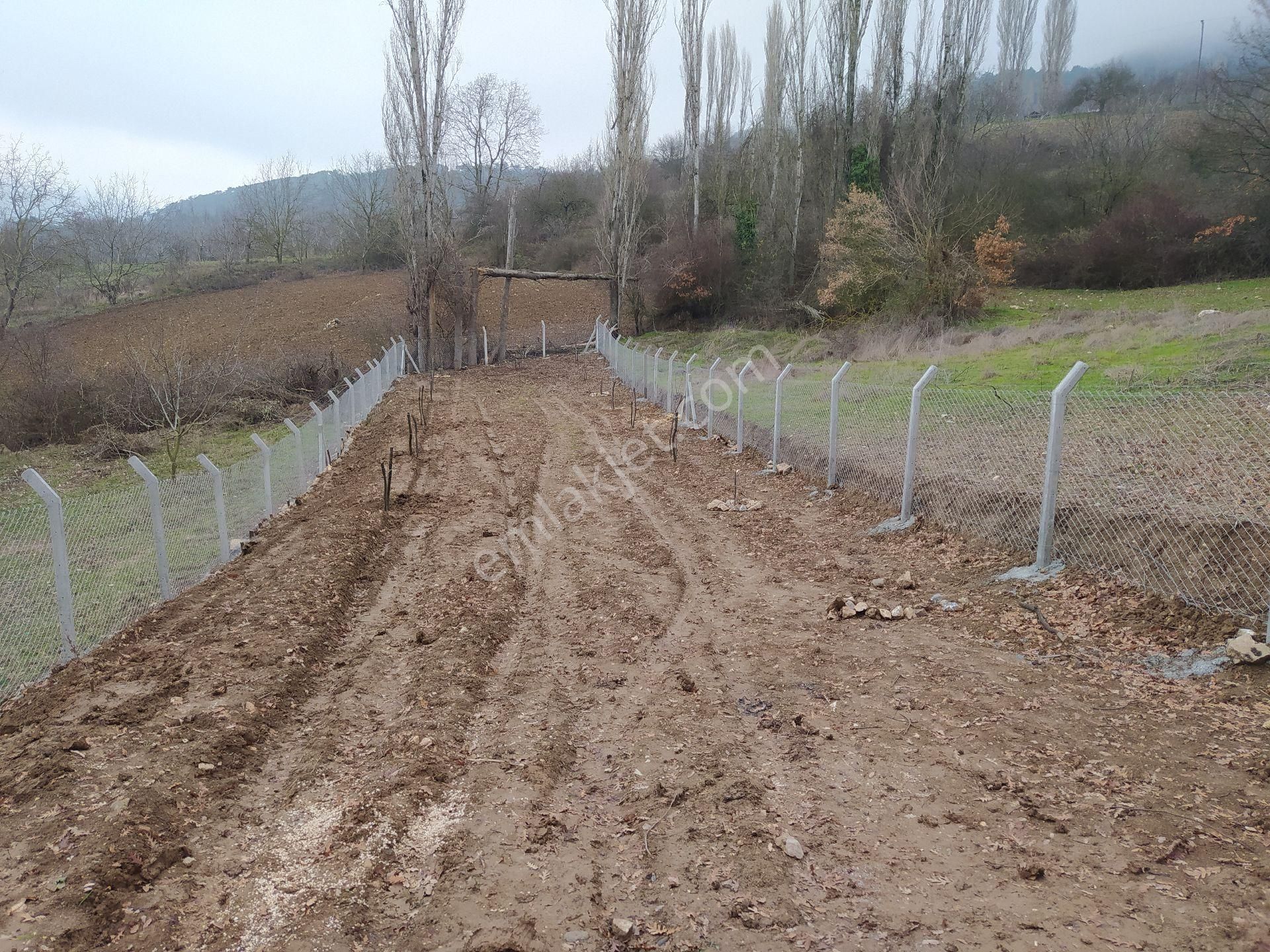 Müstakil Bahçe - Görsel 10