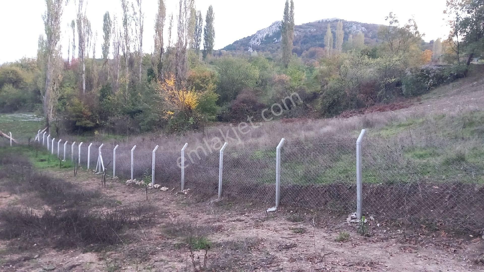 Müstakil Bahçe - Görsel 5