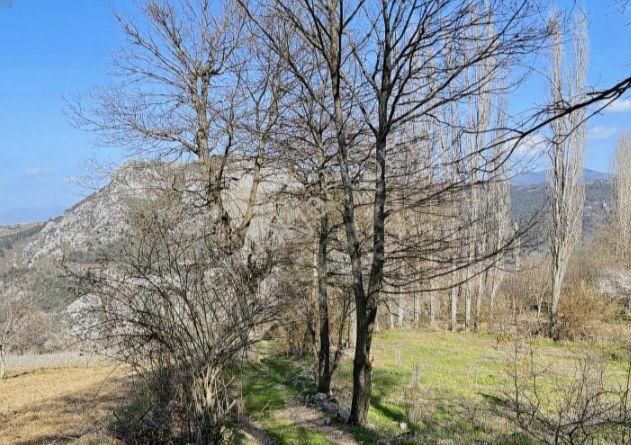 Müstakil Bahçe - Görsel 12