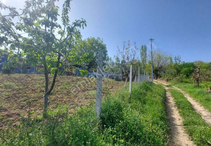 Müstakil Bahçe - Görsel 13