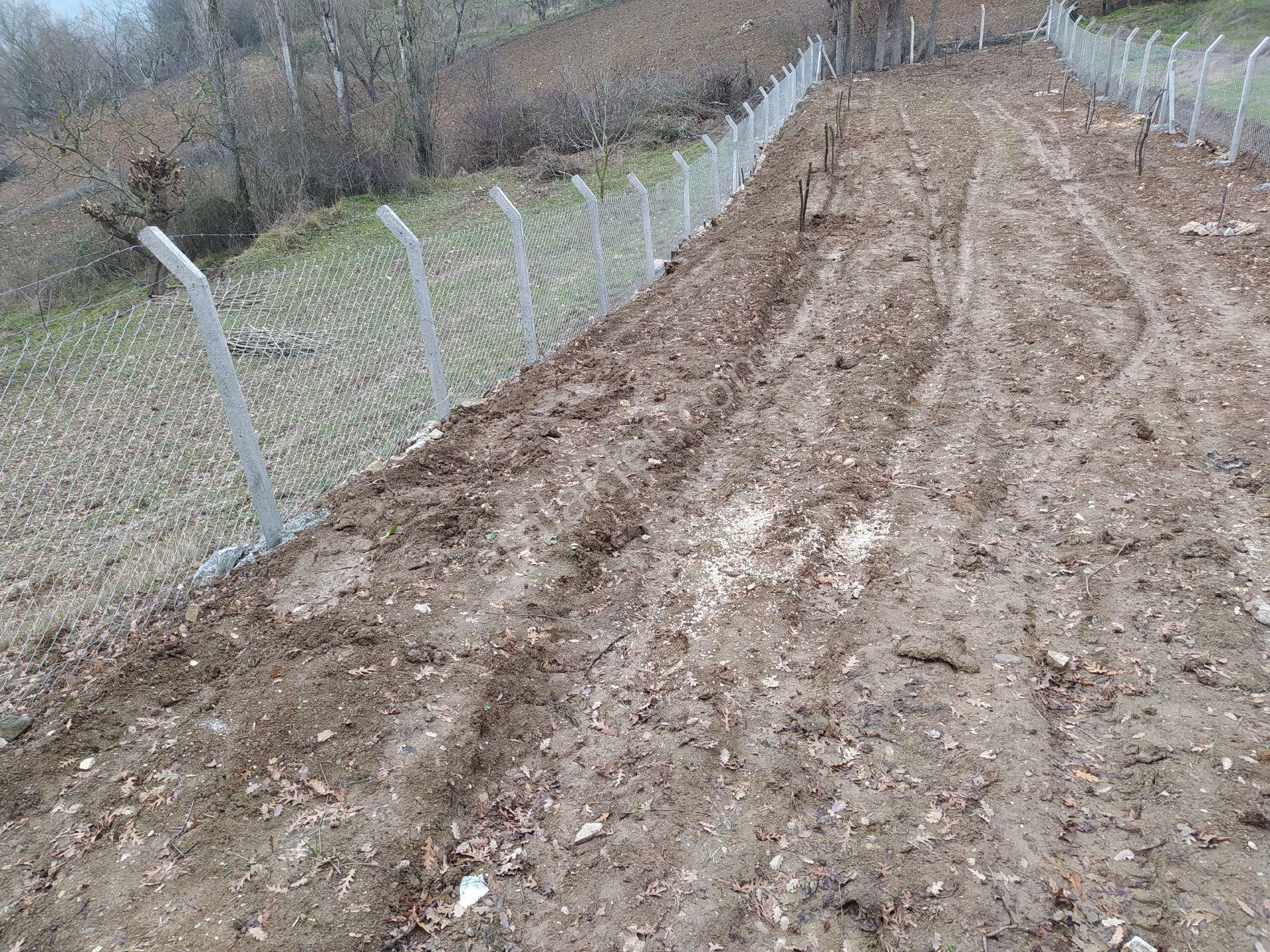 Müstakil Bahçe - Görsel 9