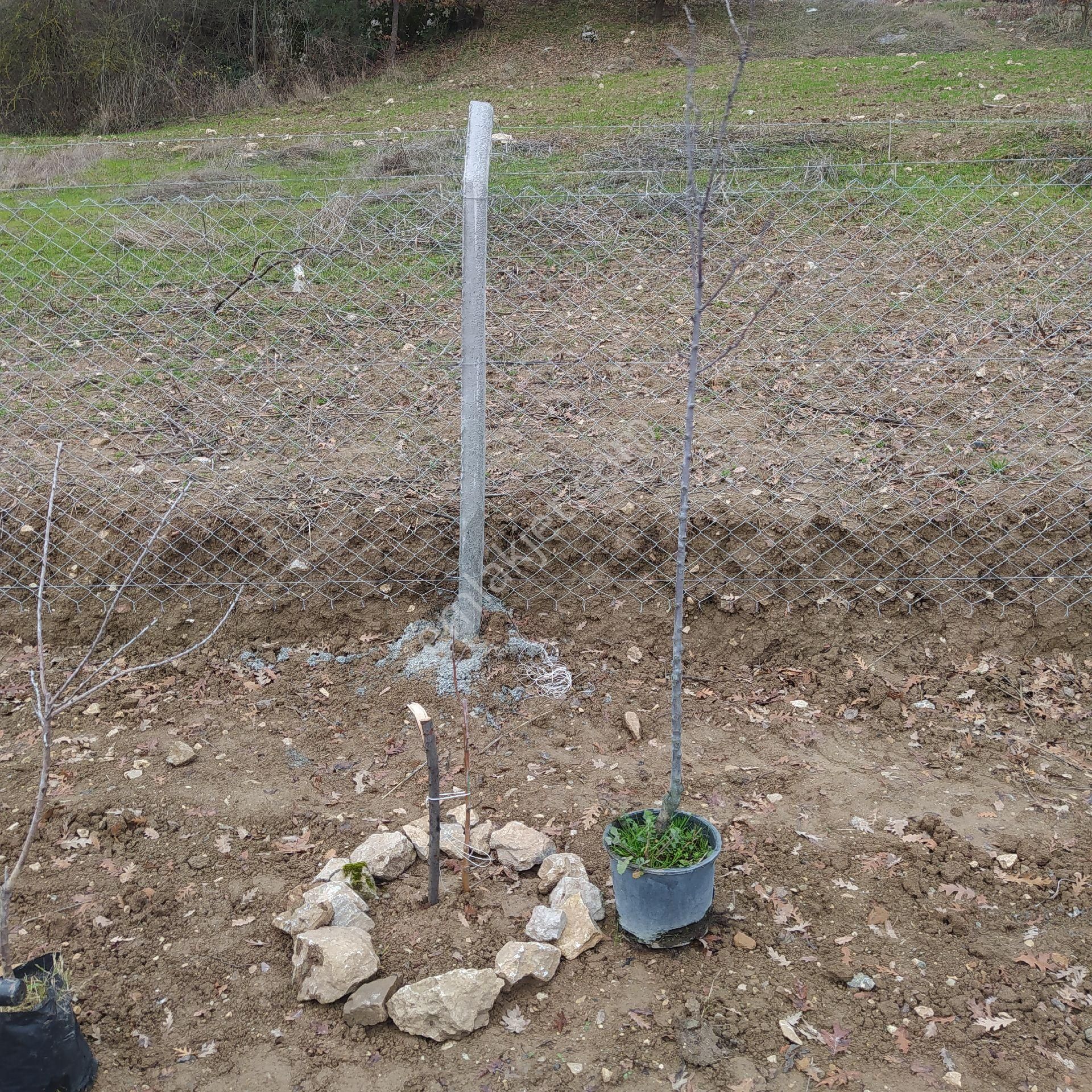 Müstakil Bahçe - Görsel 6