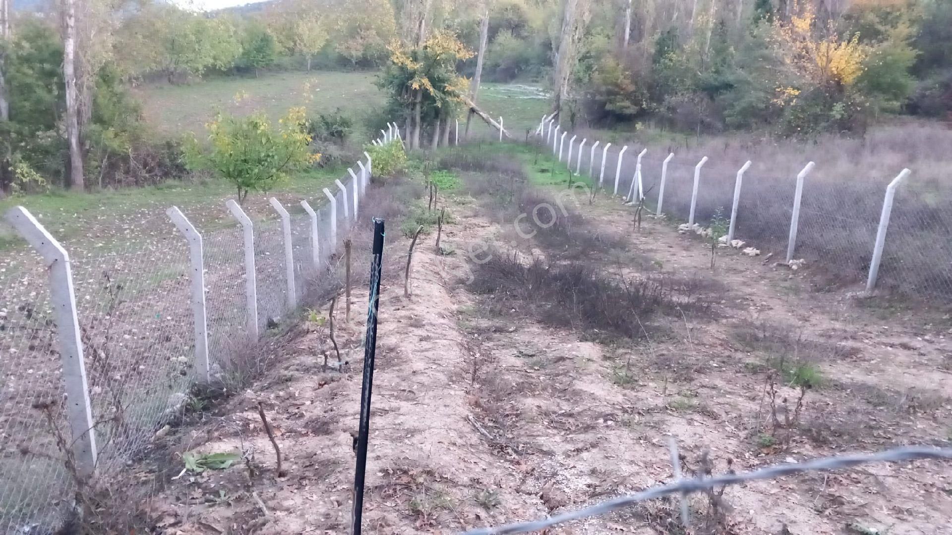 Müstakil Bahçe - Görsel 4