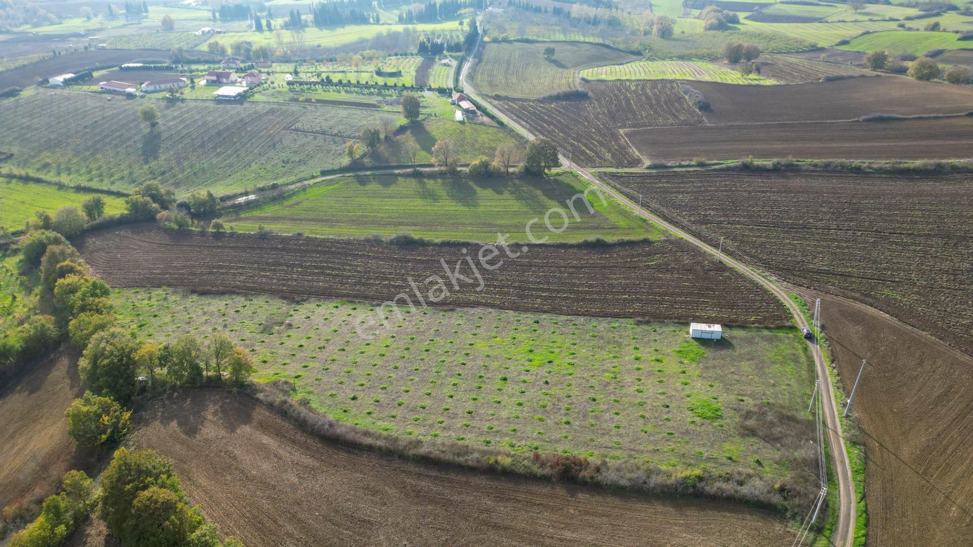 Kocaeli Karamürsel Yalakdere Satılık 9.337 M² Tarla - Görsel 4