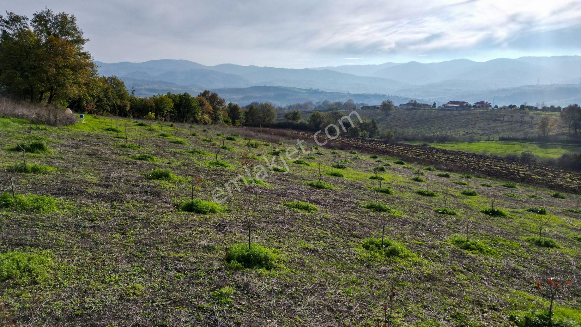 Kocaeli Karamürsel Yalakdere Satılık 9.337 M² Tarla - Görsel 11