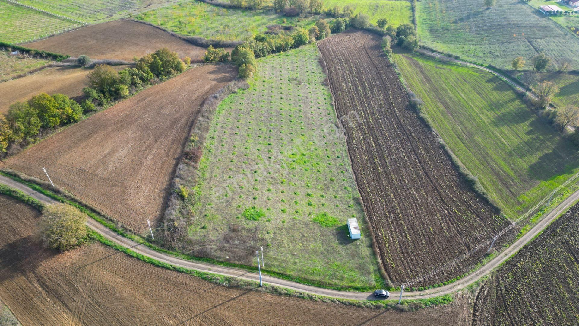 Kocaeli Karamürsel Yalakdere Satılık 9.337 M² Tarla - Görsel 2