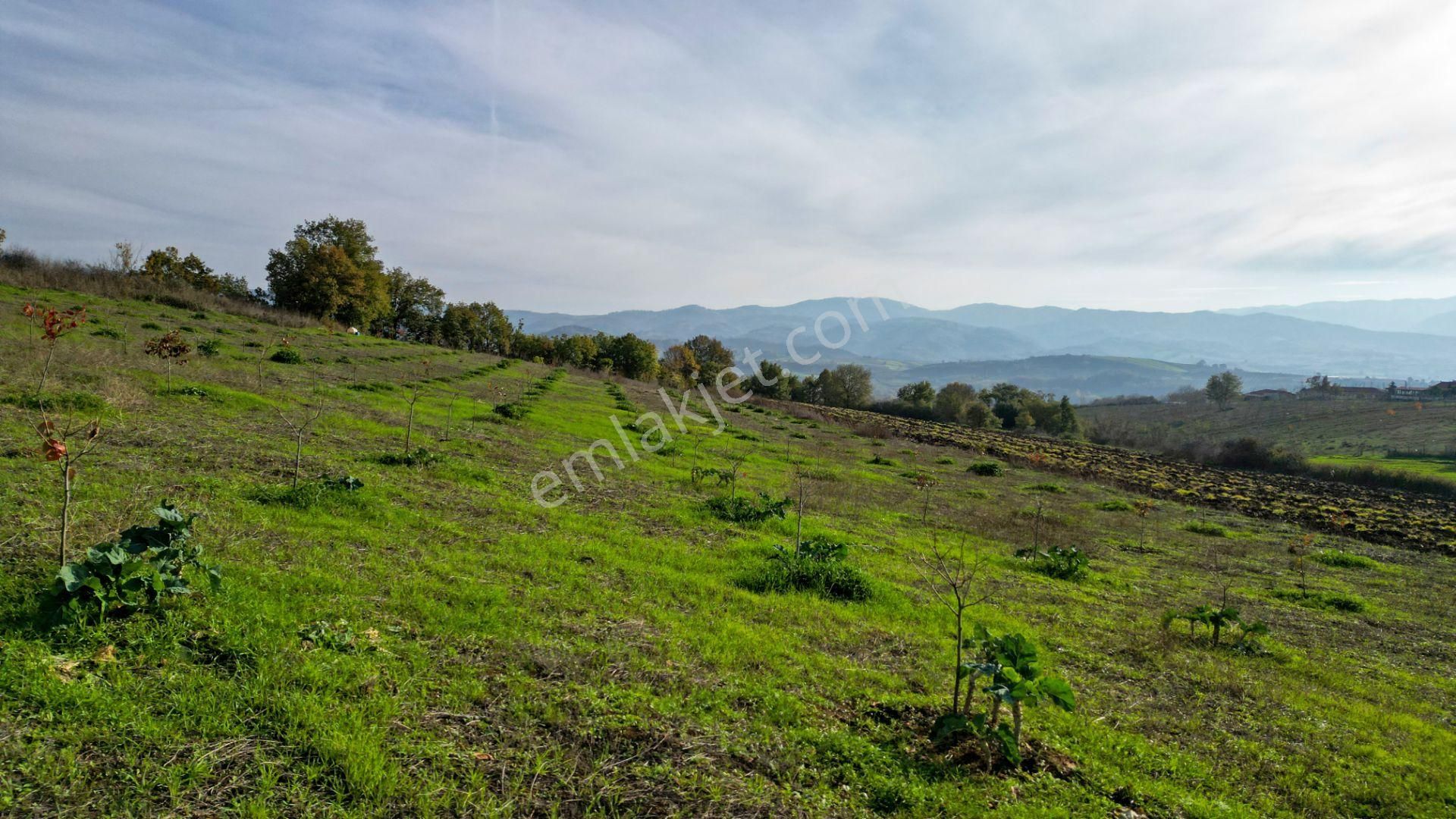 Kocaeli Karamürsel Yalakdere Satılık 9.337 M² Tarla - Görsel 12