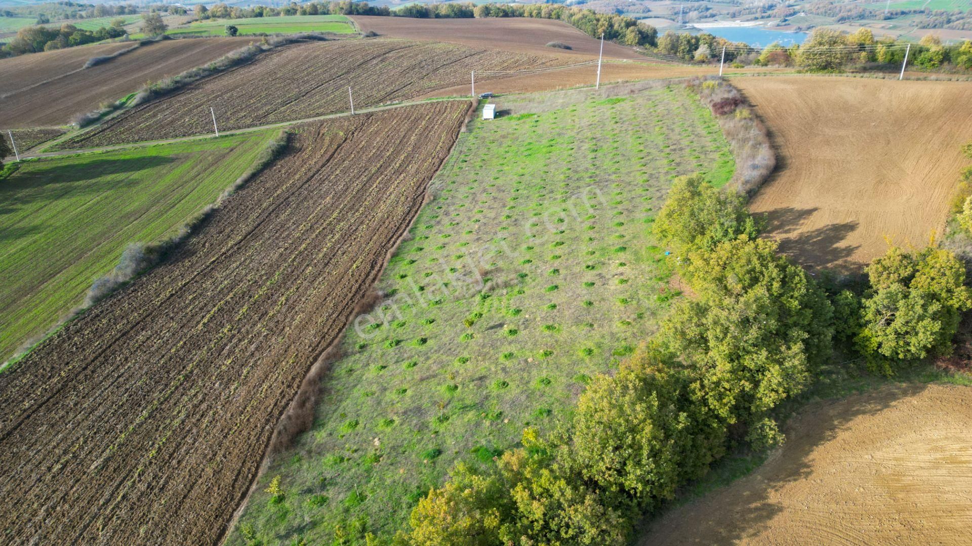 Kocaeli Karamürsel Yalakdere Satılık 9.337 M² Tarla - Görsel 7