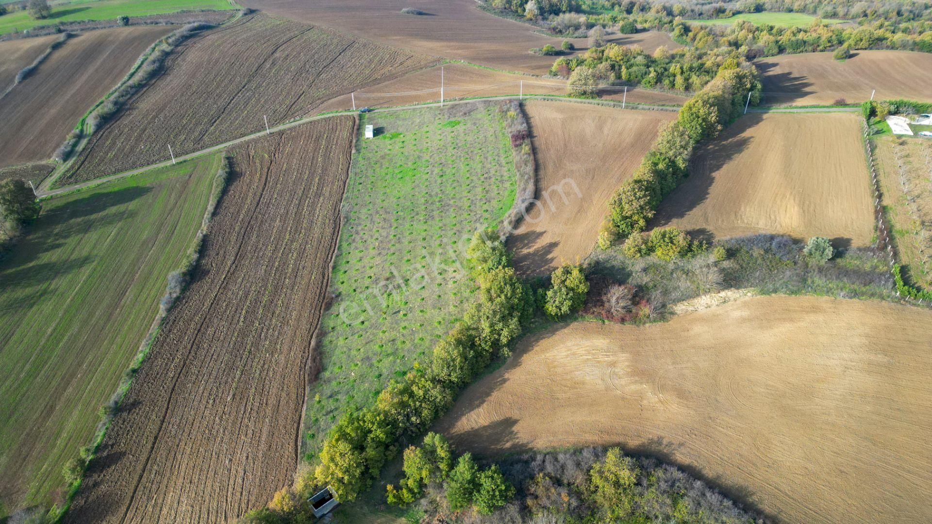 Kocaeli Karamürsel Yalakdere Satılık 9.337 M² Tarla - Görsel 5