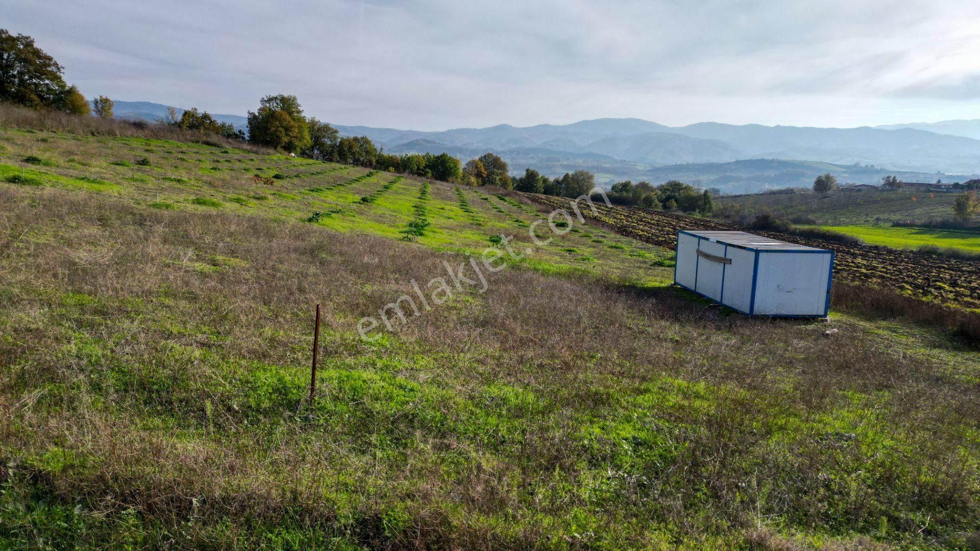 Kocaeli Karamürsel Yalakdere Satılık 9.337 M² Tarla - Görsel 15