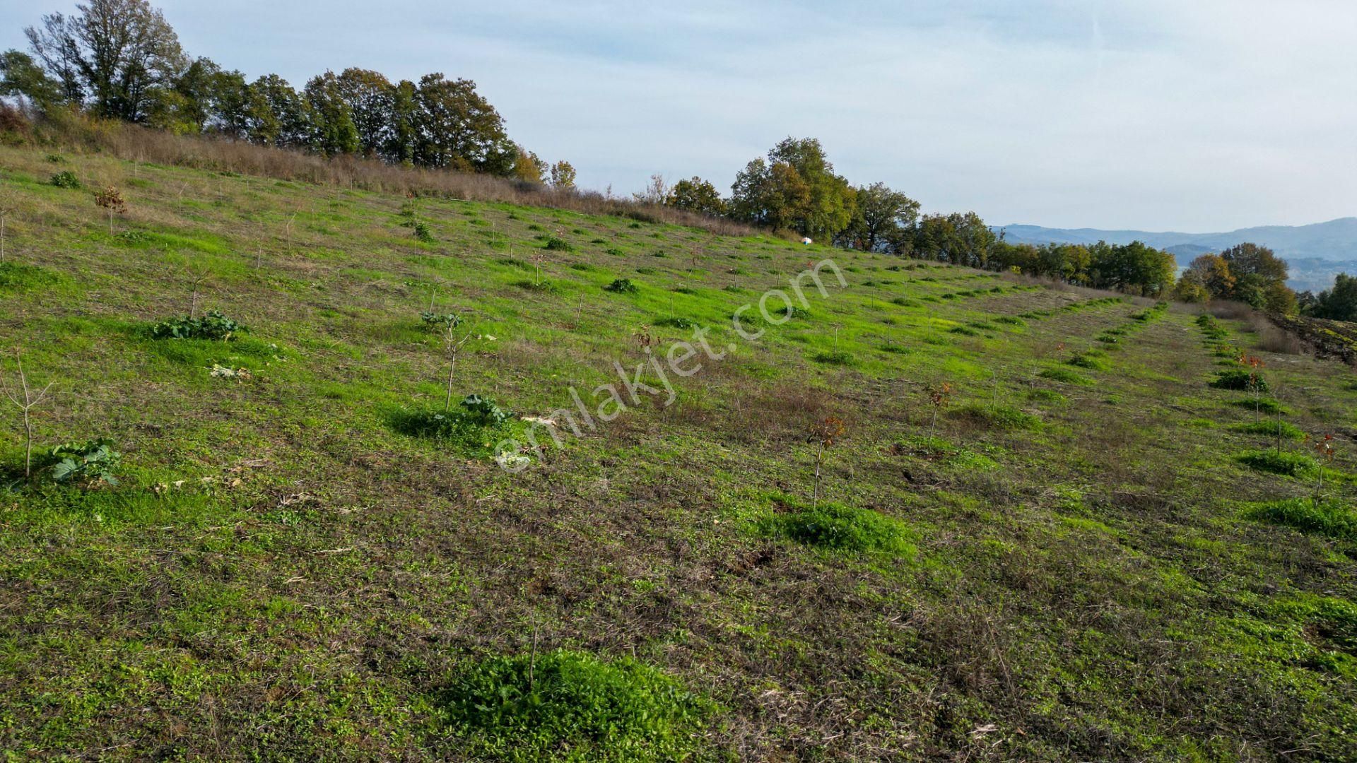 Kocaeli Karamürsel Yalakdere Satılık 9.337 M² Tarla - Görsel 17