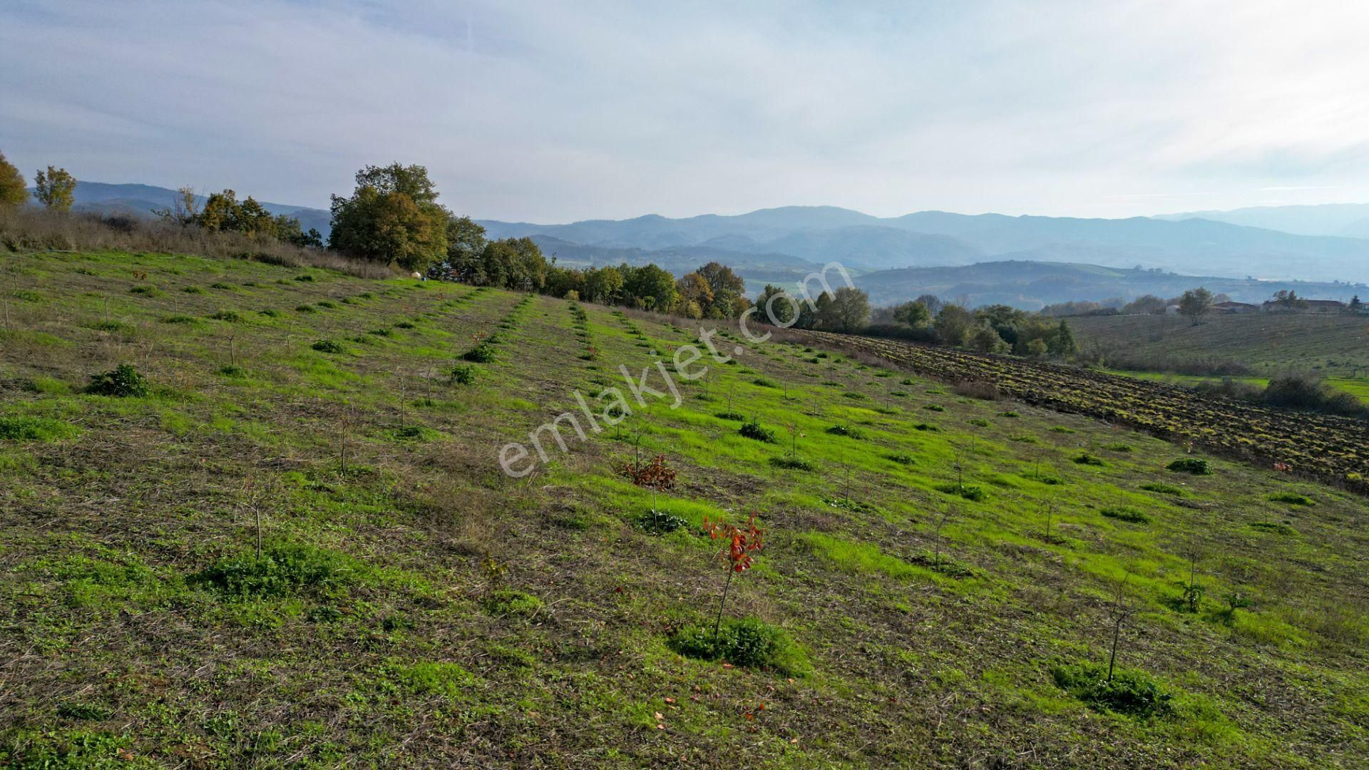 Kocaeli Karamürsel Yalakdere Satılık 9.337 M² Tarla - Görsel 9