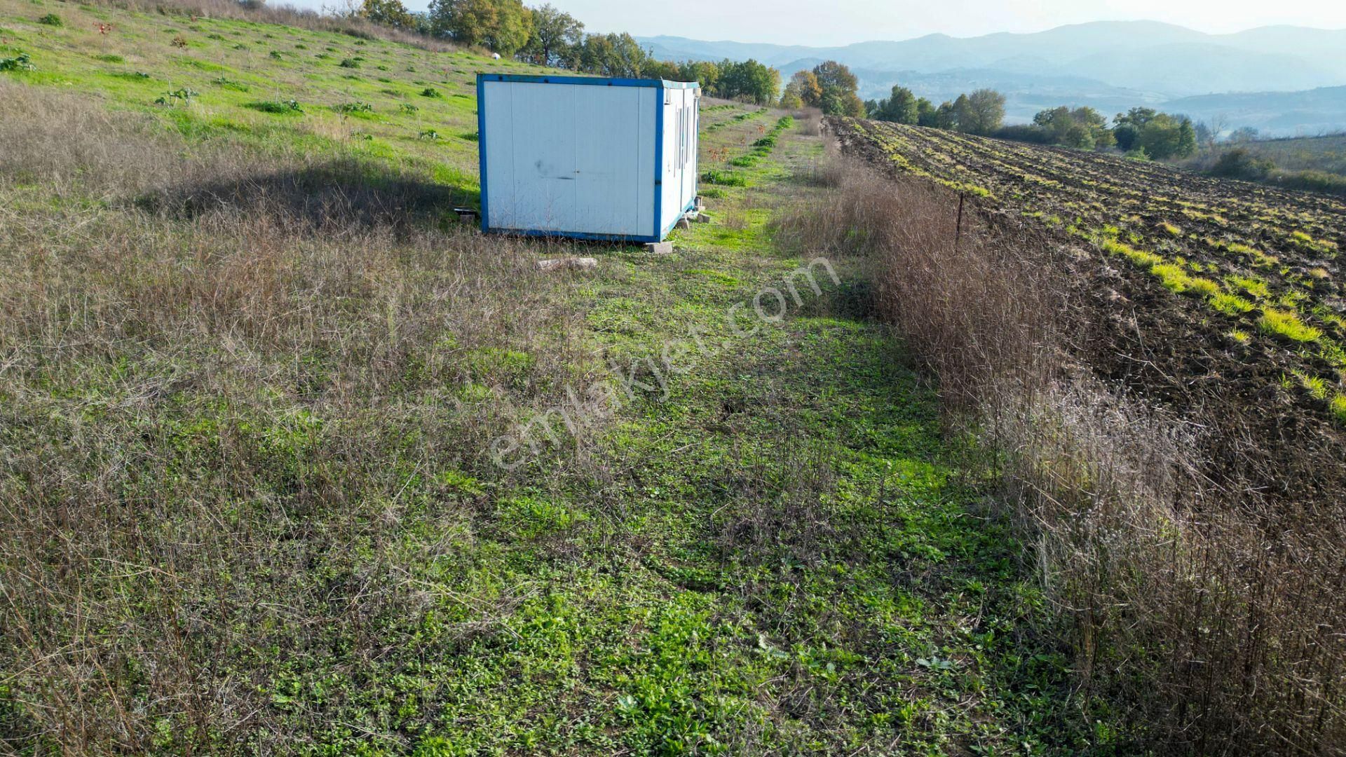 Kocaeli Karamürsel Yalakdere Satılık 9.337 M² Tarla - Görsel 14