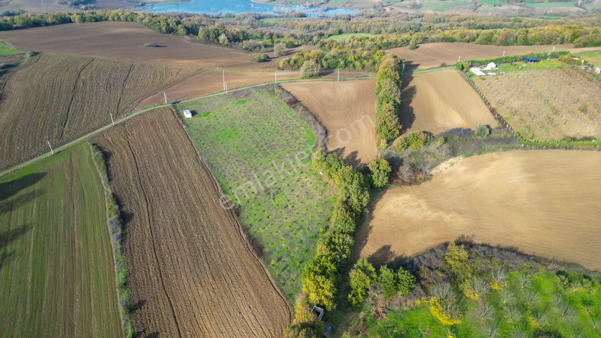 Kocaeli Karamürsel Yalakdere Satılık 9.337 M² Tarla - Görsel 6