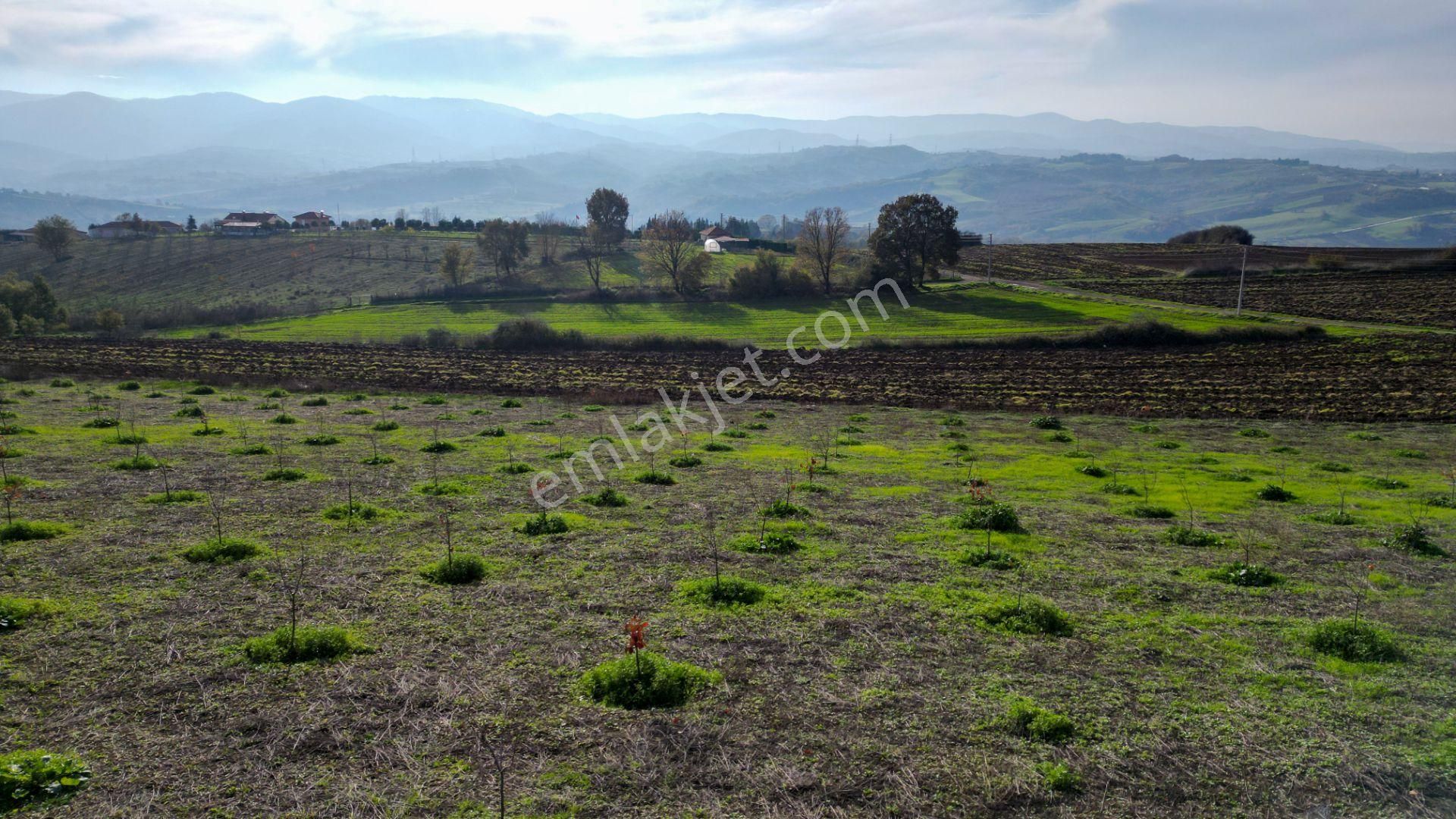 Kocaeli Karamürsel Yalakdere Satılık 9.337 M² Tarla - Görsel 10