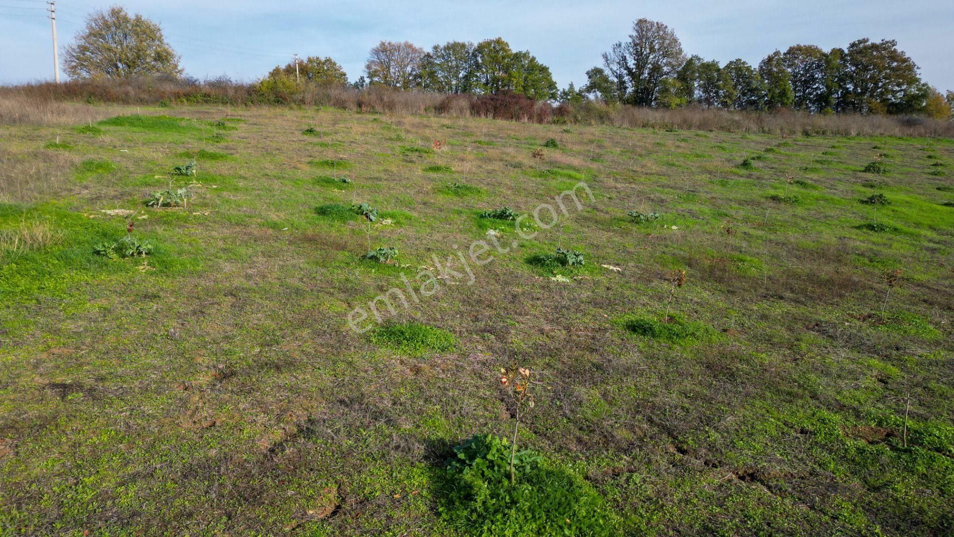 Kocaeli Karamürsel Yalakdere Satılık 9.337 M² Tarla - Görsel 16