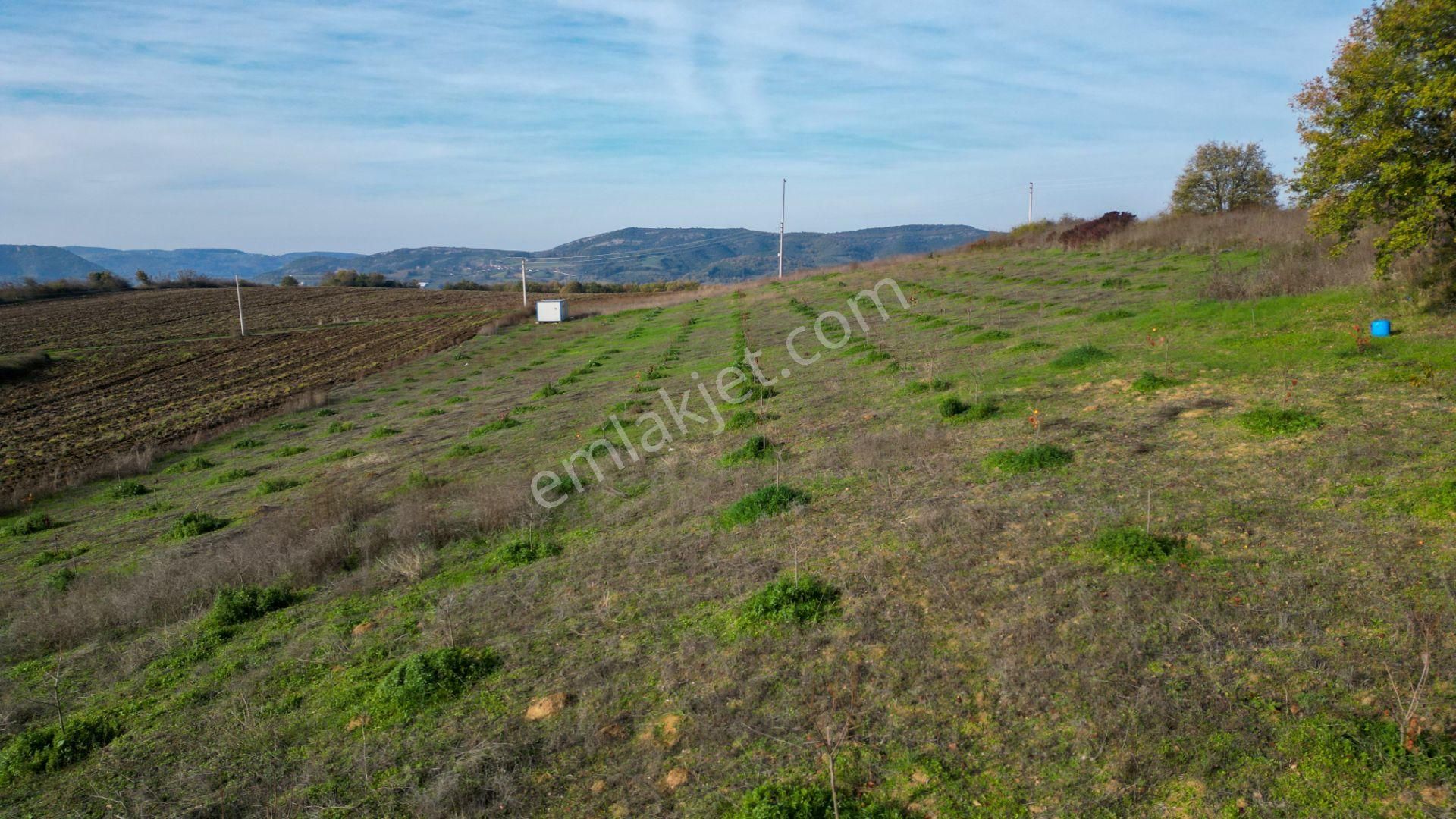 Kocaeli Karamürsel Yalakdere Satılık 9.337 M² Tarla - Görsel 8