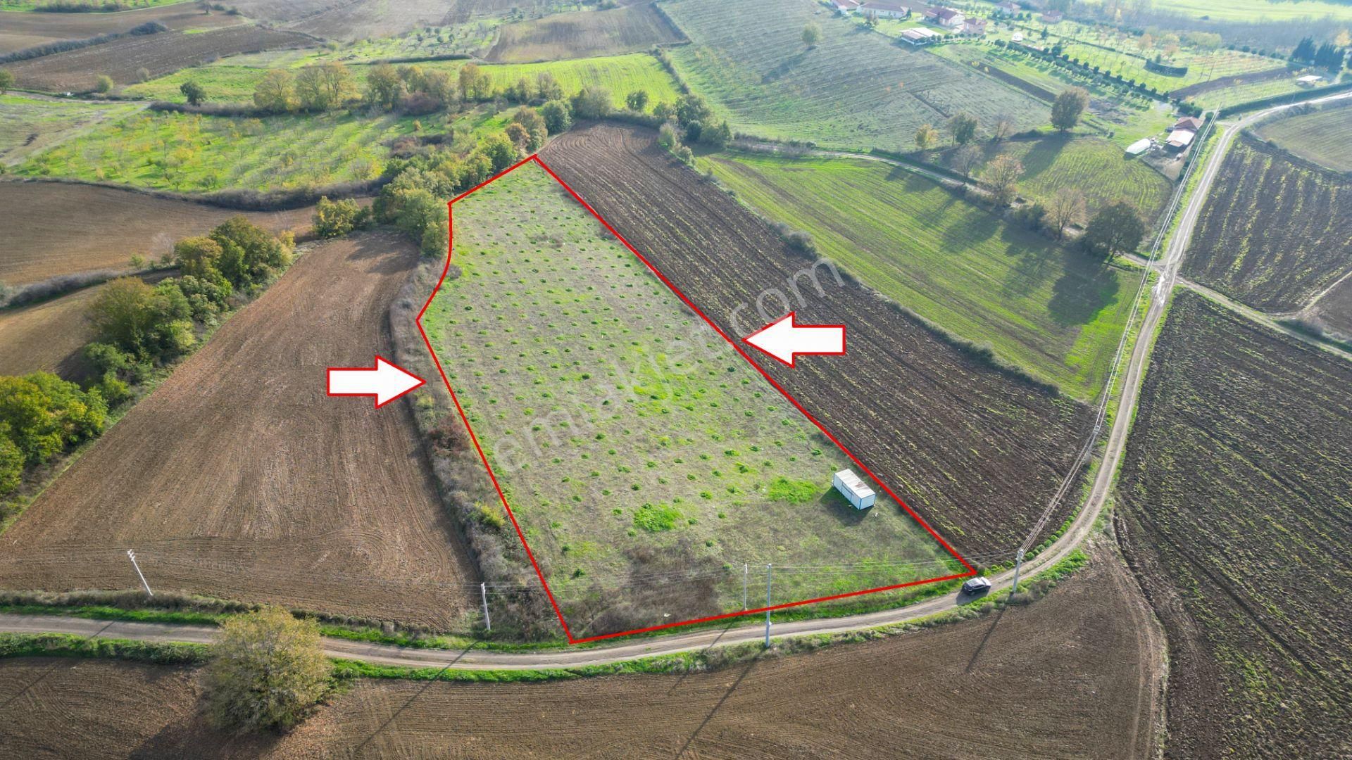 Kocaeli Karamürsel Yalakdere Satılık 9.337 M² Tarla